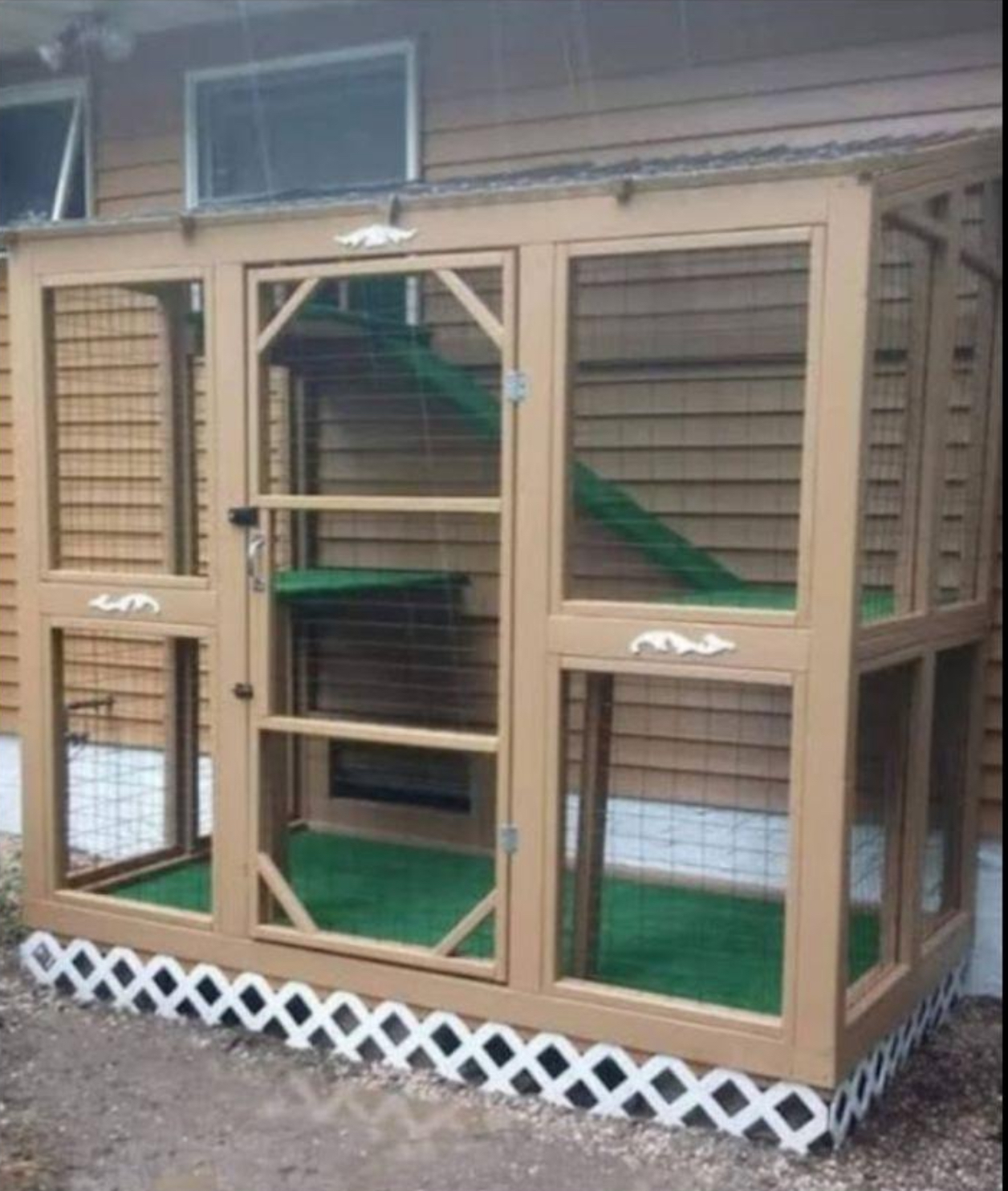 Premium Kingdom with panoramic views for curious cats
