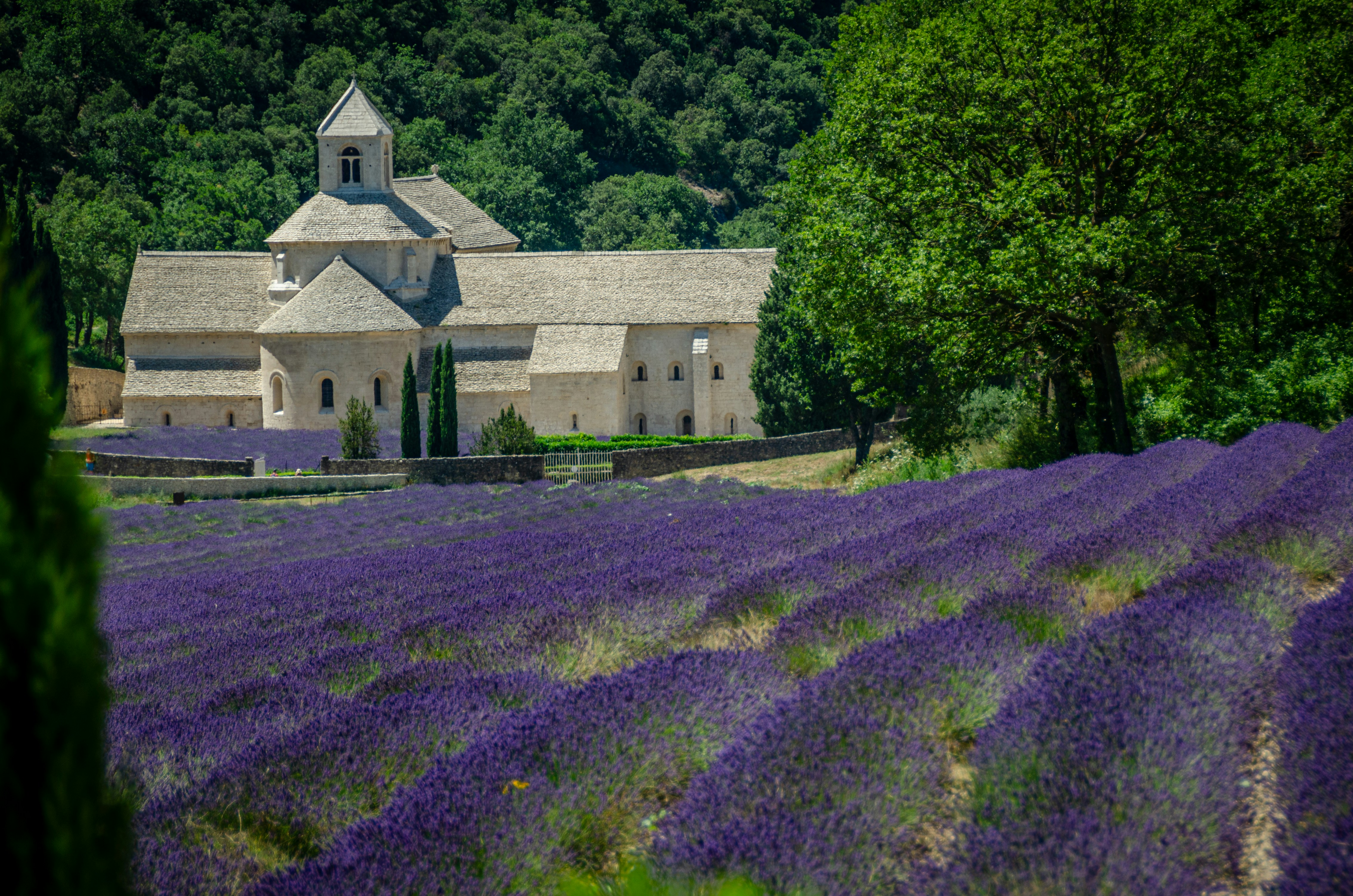 Paisagem deslumbrante da Provence e Riviera Francesa