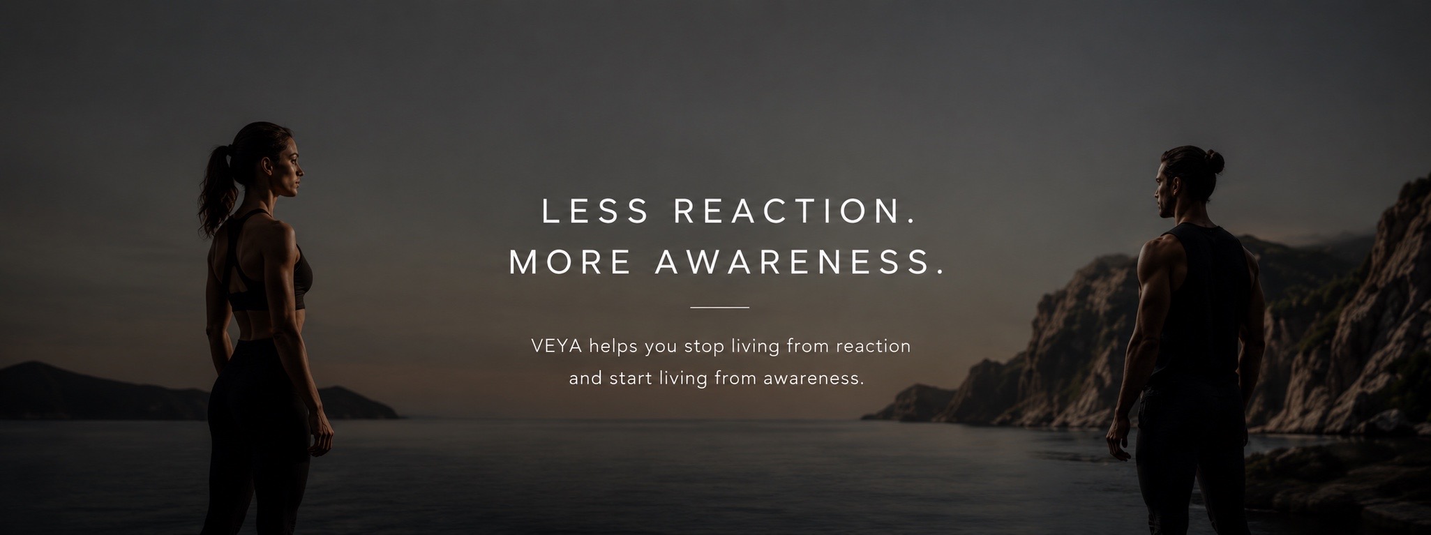 VEYA Awareness Banner