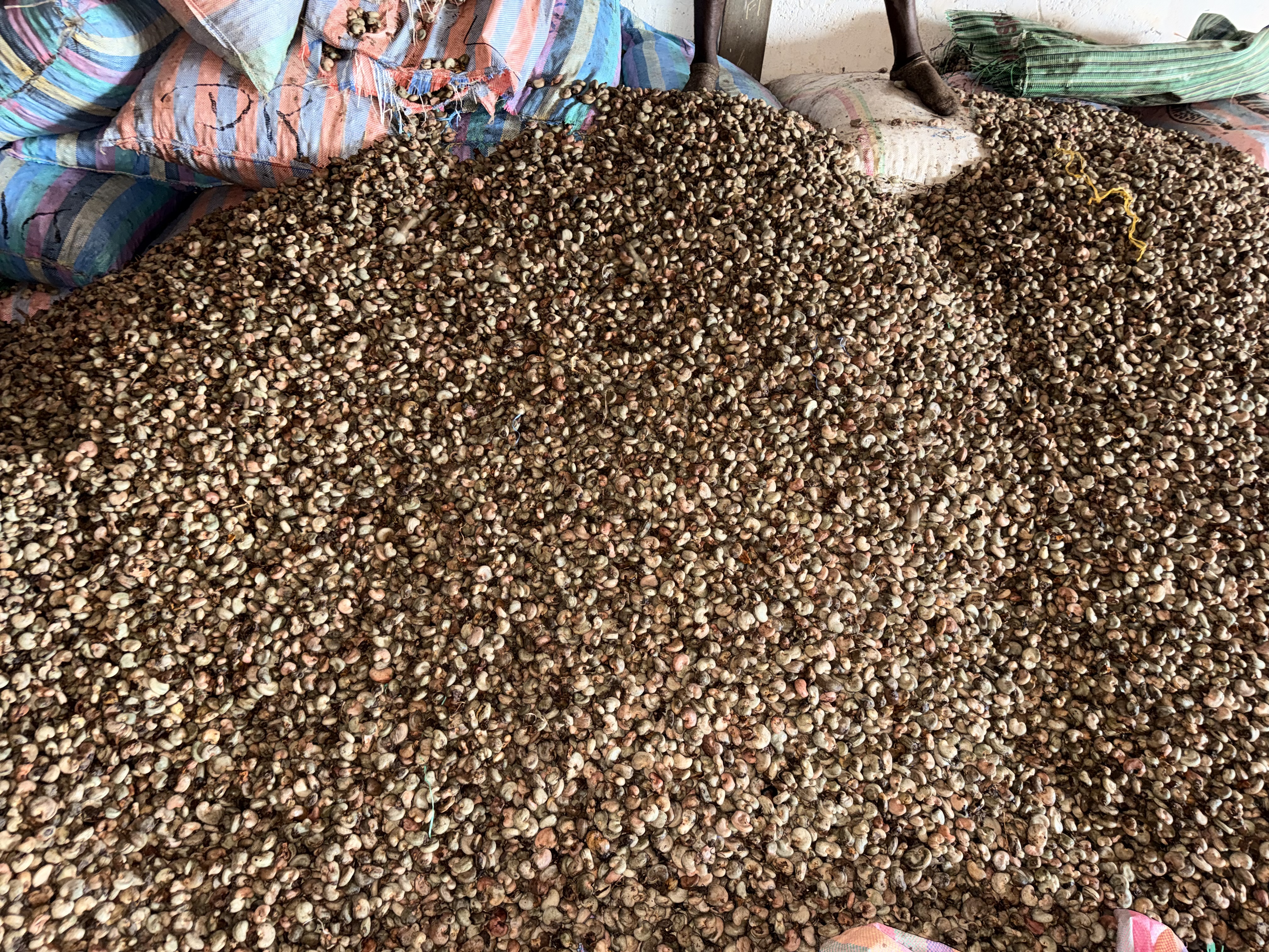 Port de Conakry Export