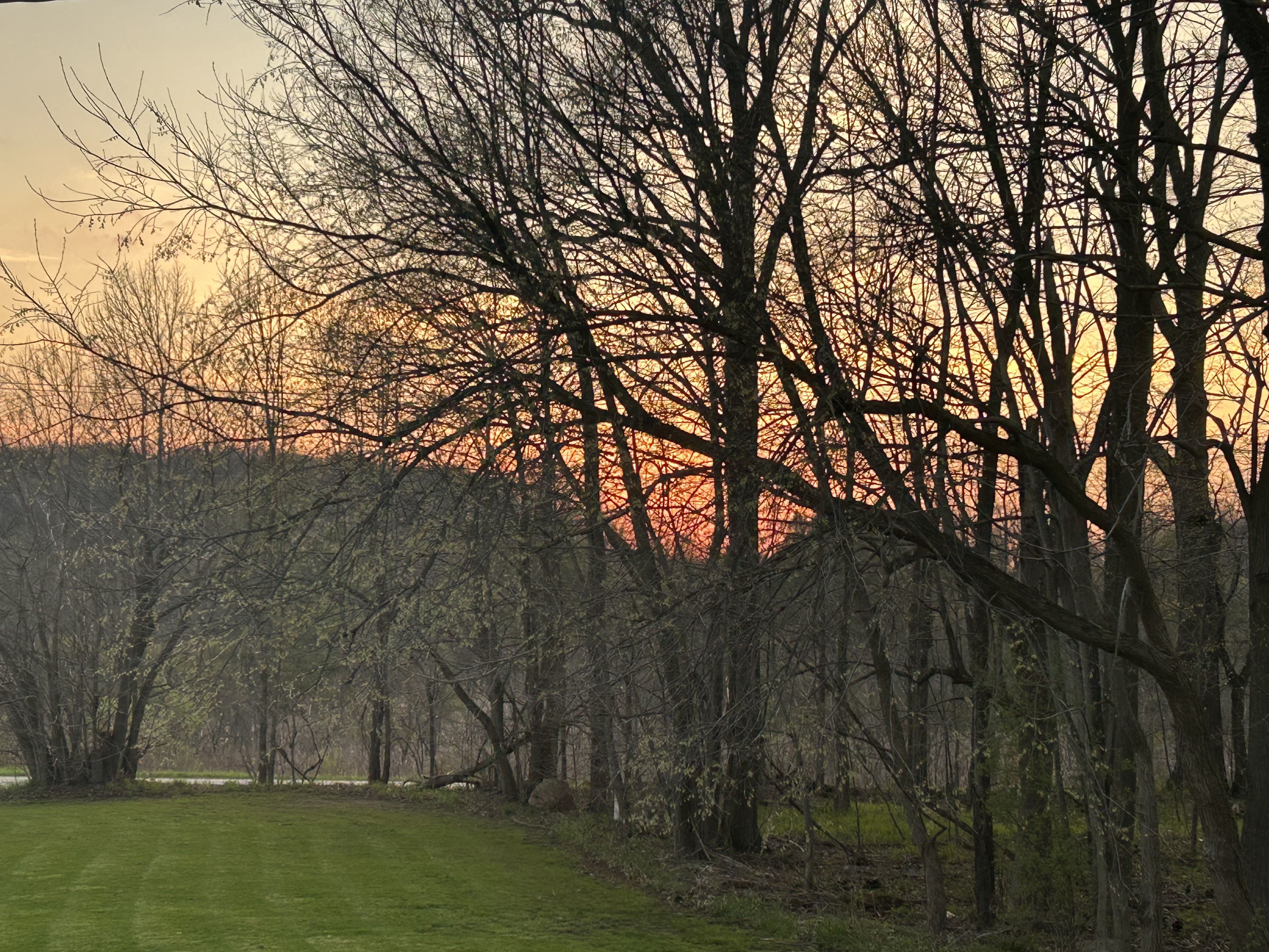 Sunset over trees and open field, perfect for an outdoor ceremony