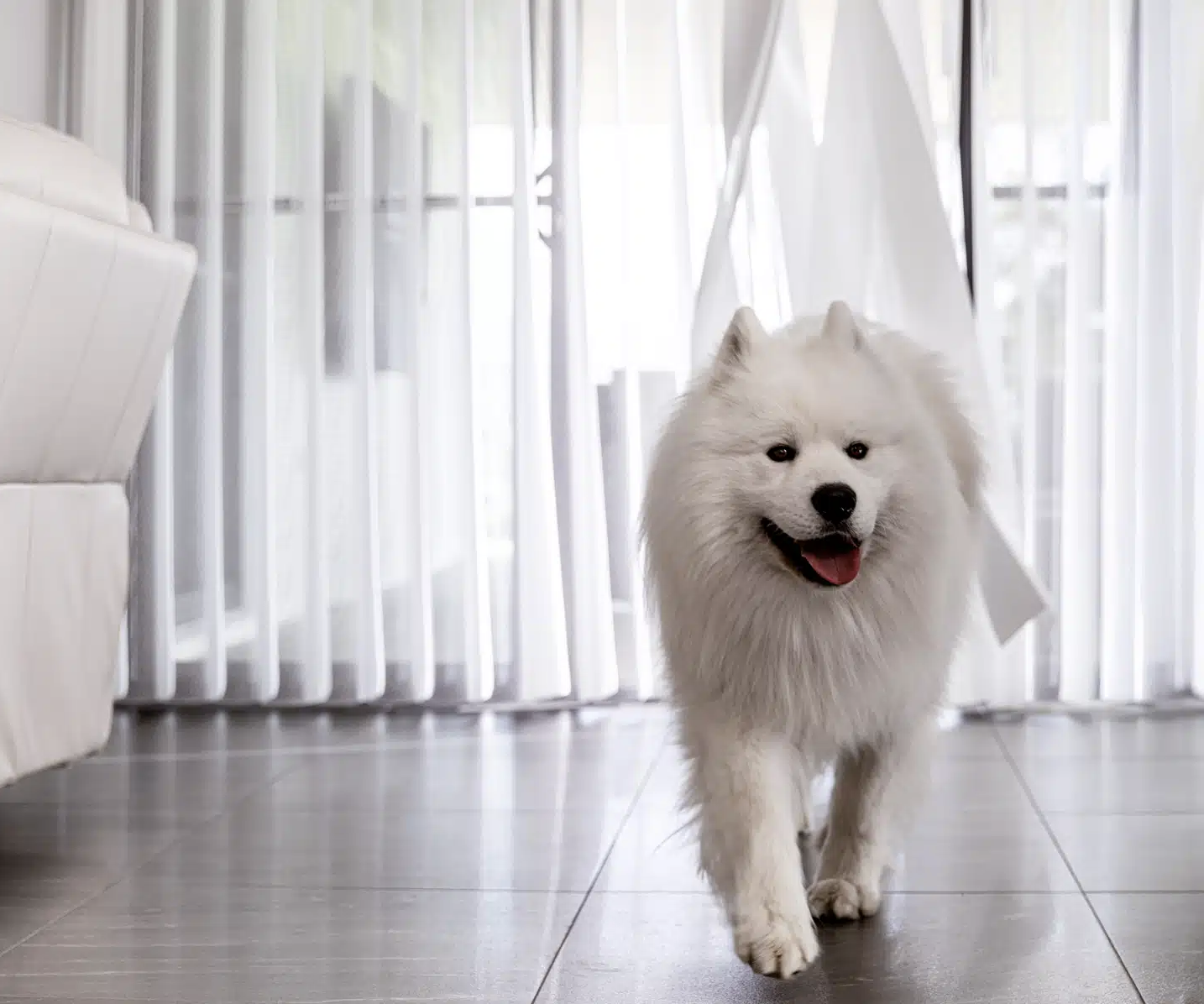 Norman Smart Drape — view 4