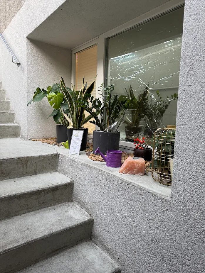 Institut d'Kura Ambiente 3