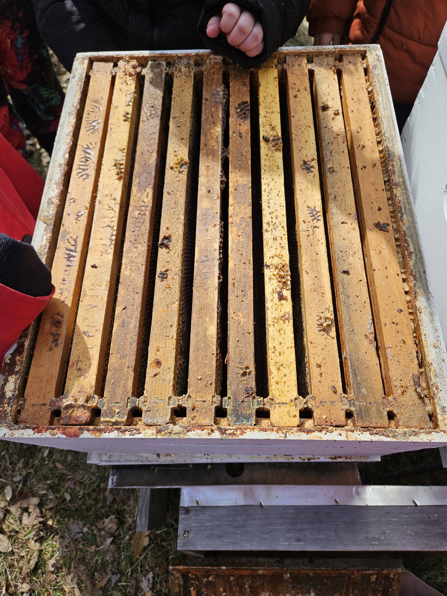 Hands-on learning with beekeeping equipment