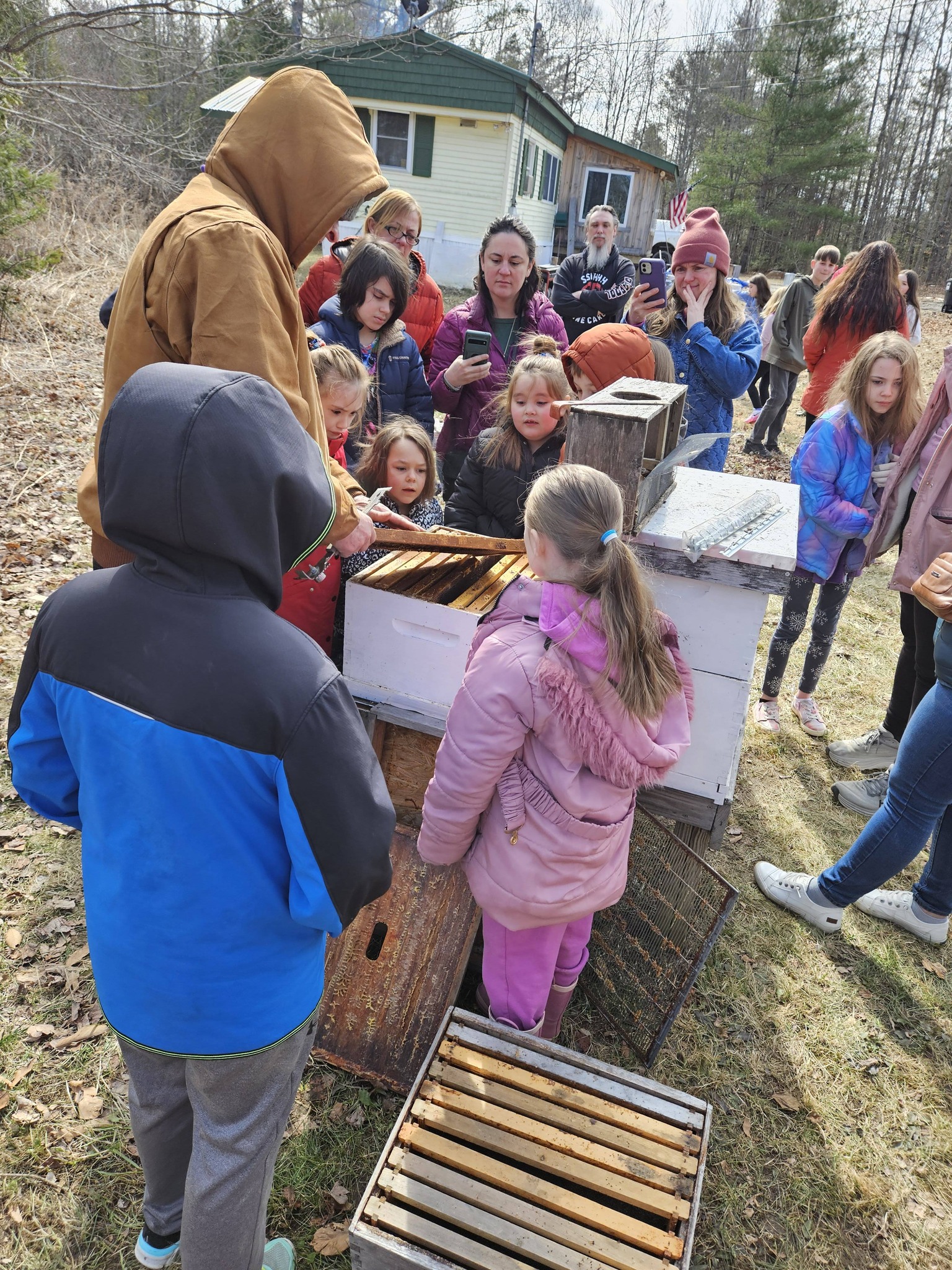 Students tasting fresh raw honey from the comb