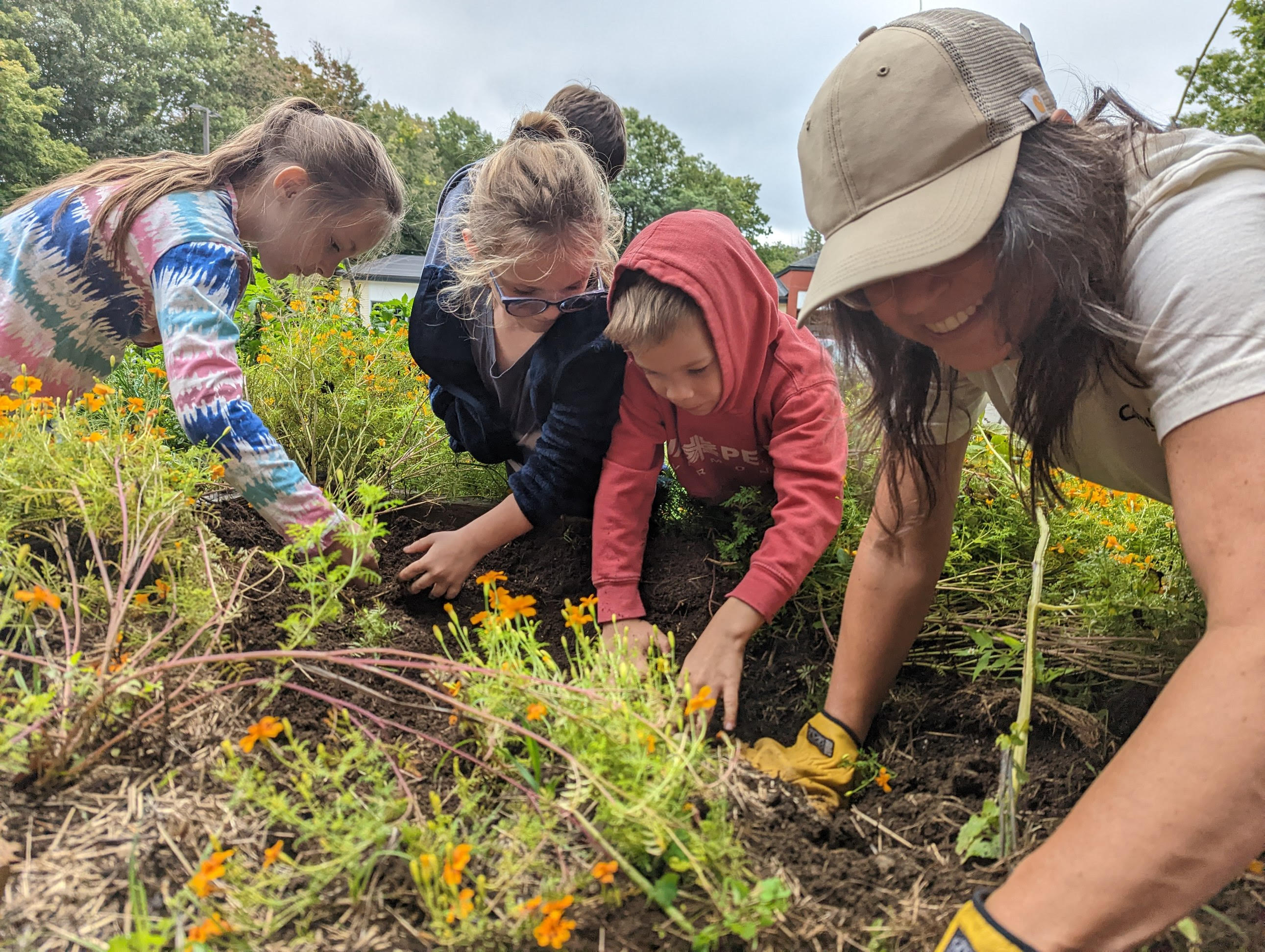 Cornucopia Project pollinator garden