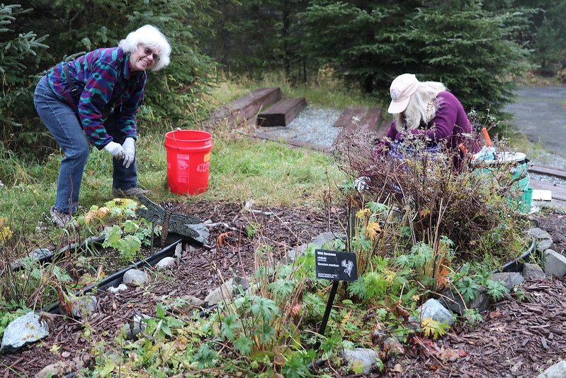 Pollinator garden in bloom