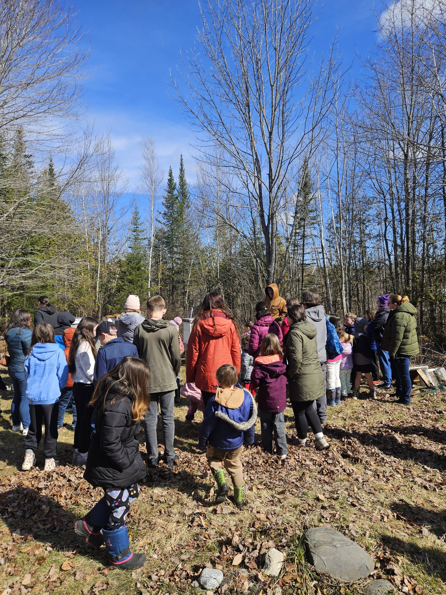 Students exploring the apiary at Hood Brook