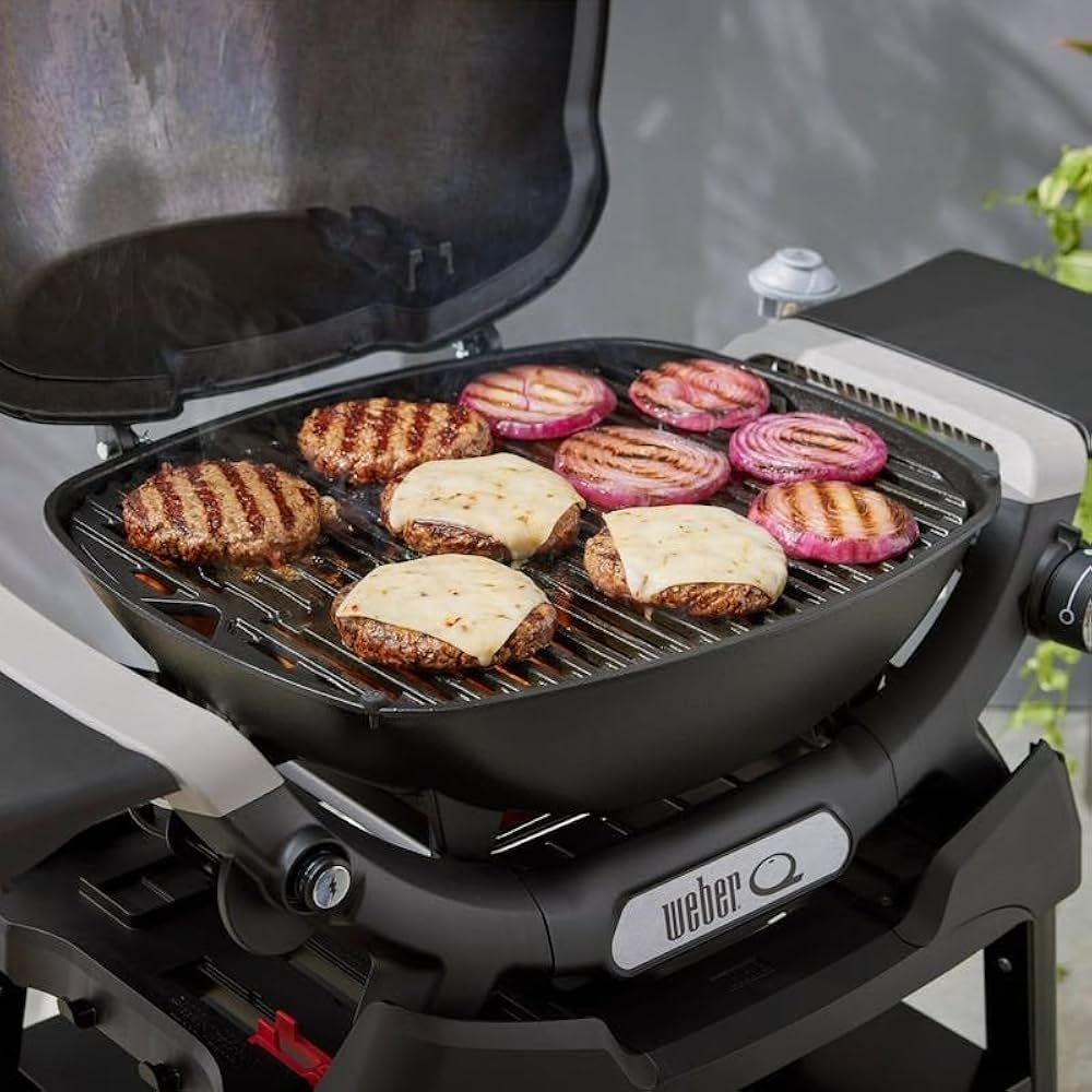 Weber Q 1200N Barbecue à Gaz avec Support Compact — detalhe, comprar churrasqueira grelhador churrasco carvão portugal online Portugal