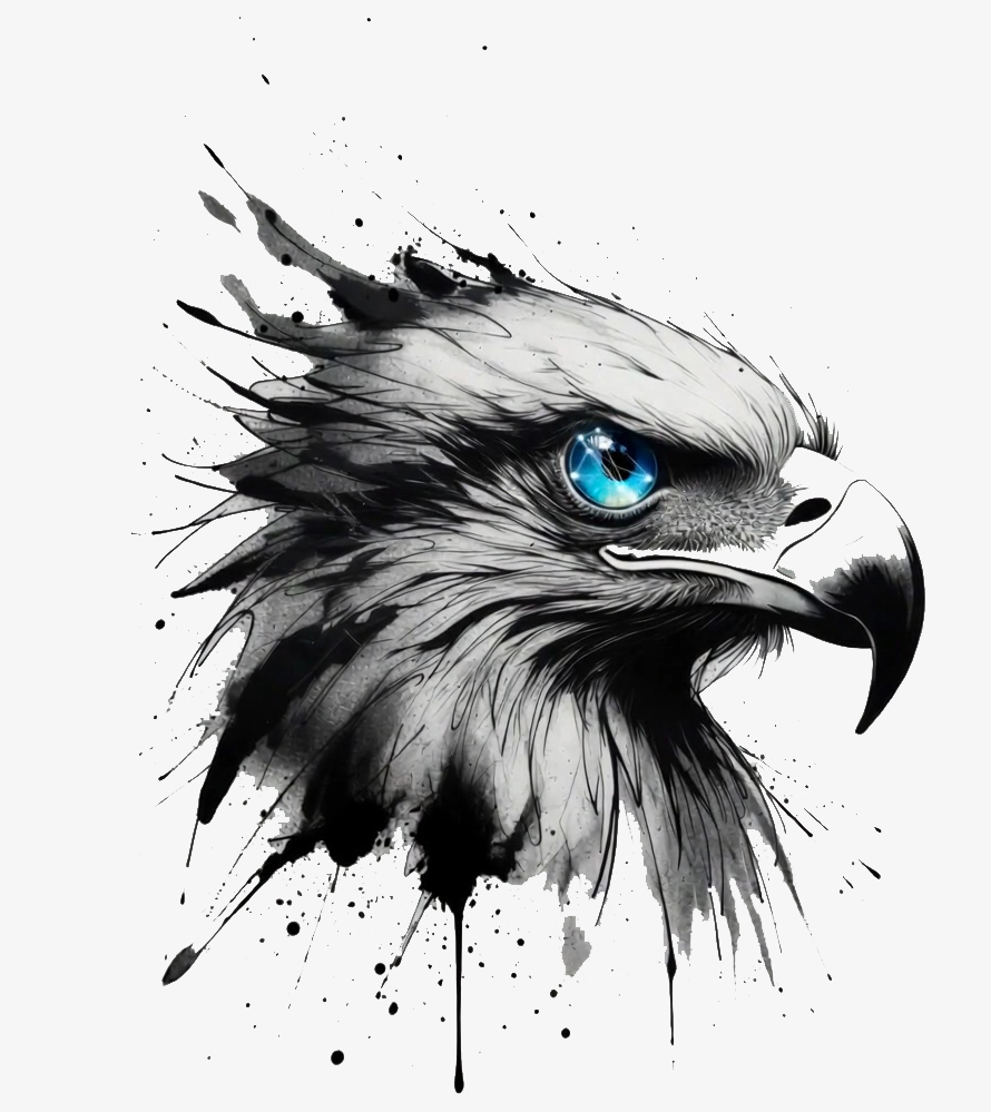 Eagle iNetwork Logo