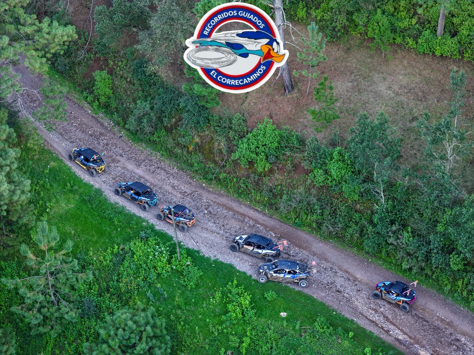 Aventura familiar en RZR por los bosques de pinos de Mazamitla
