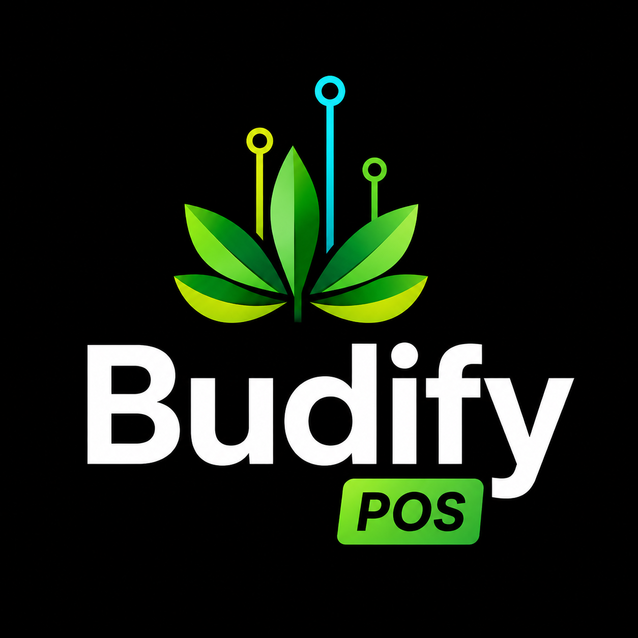 Budify