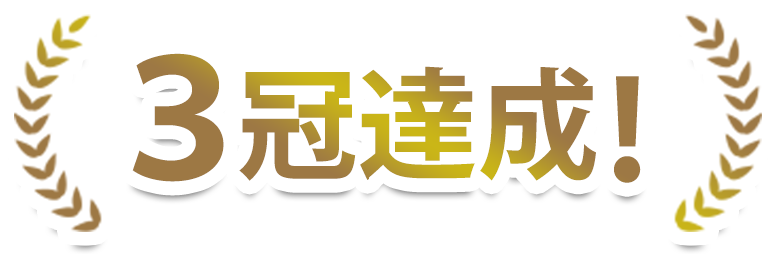 No.1受賞