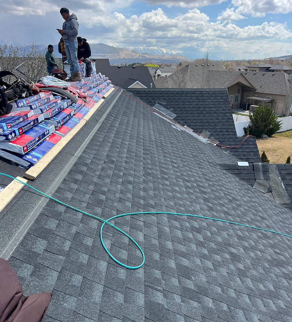Full Roof Replacement after