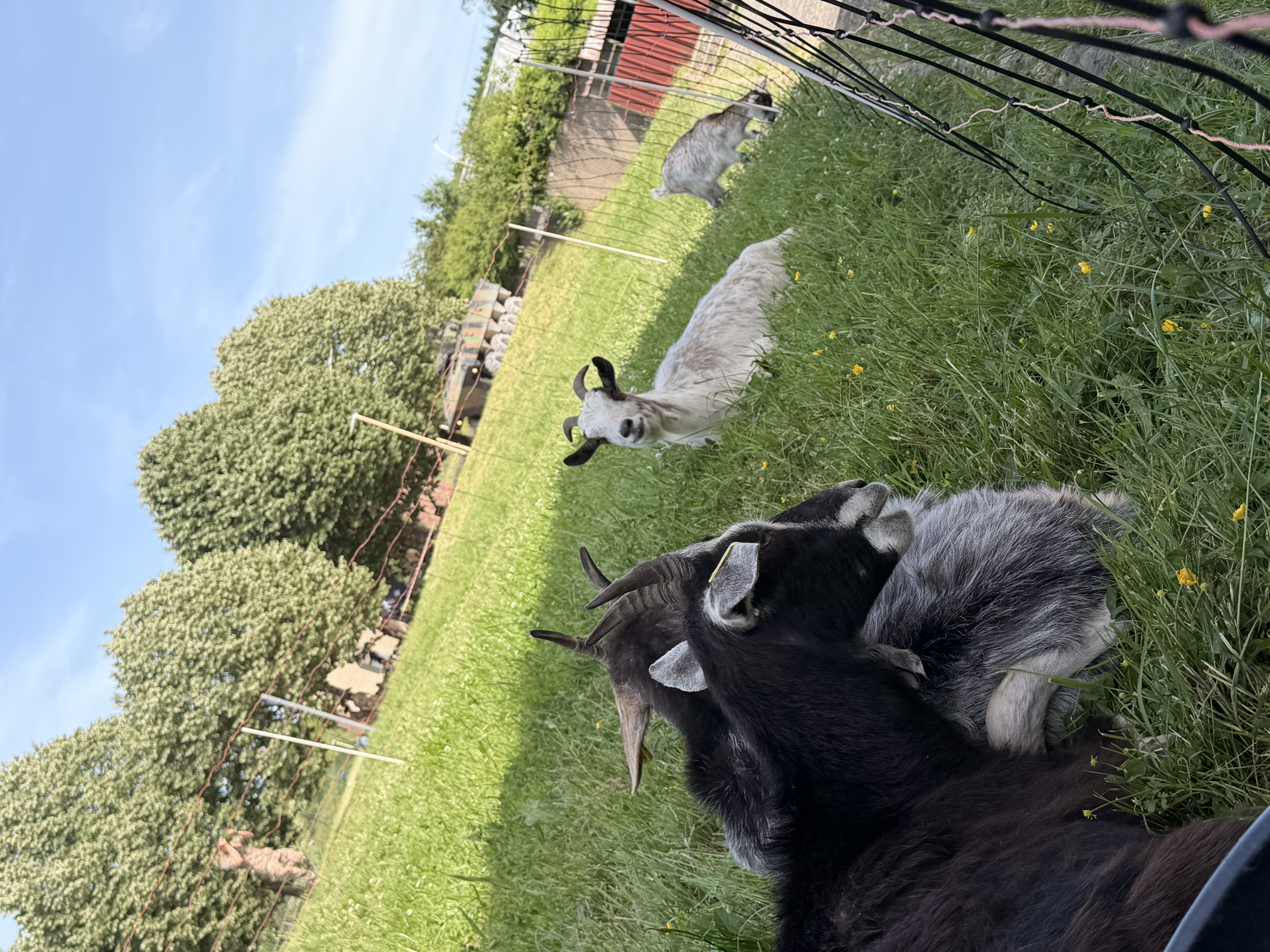Ferme Itinérante