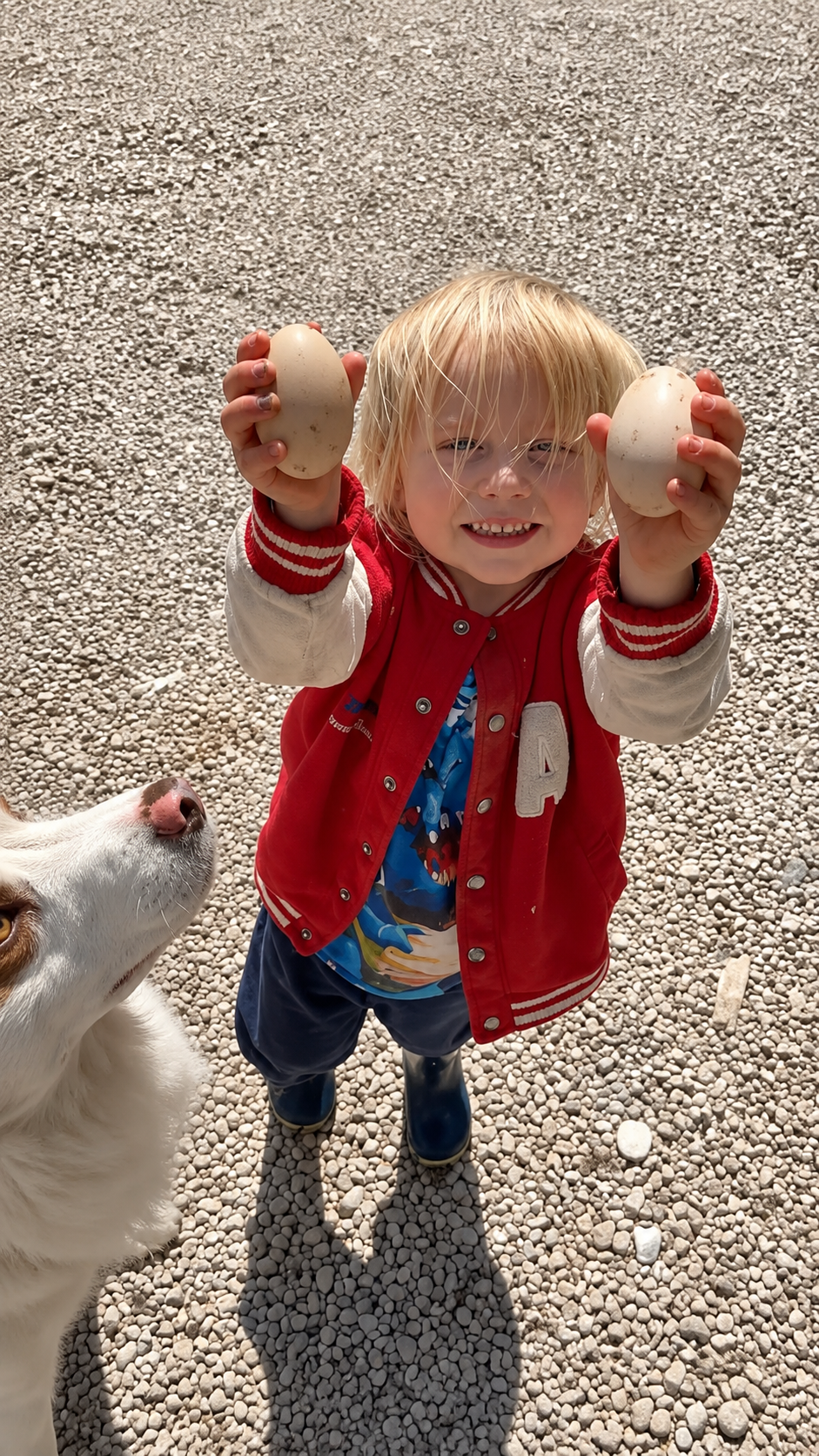 Petits Fermiers