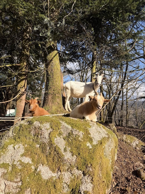 Ferme pédagogique