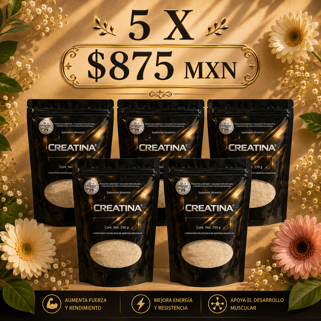 Promoción Creatina 5 piezas