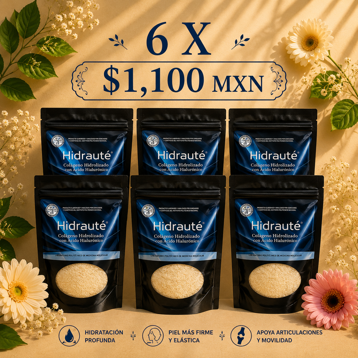 Promoción Hidraute 6 piezas