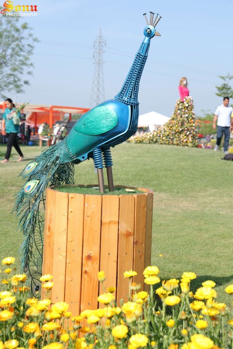 Handicraft Collection