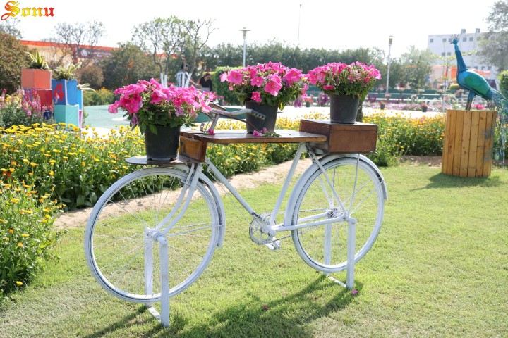 Traditional Indian Handicrafts