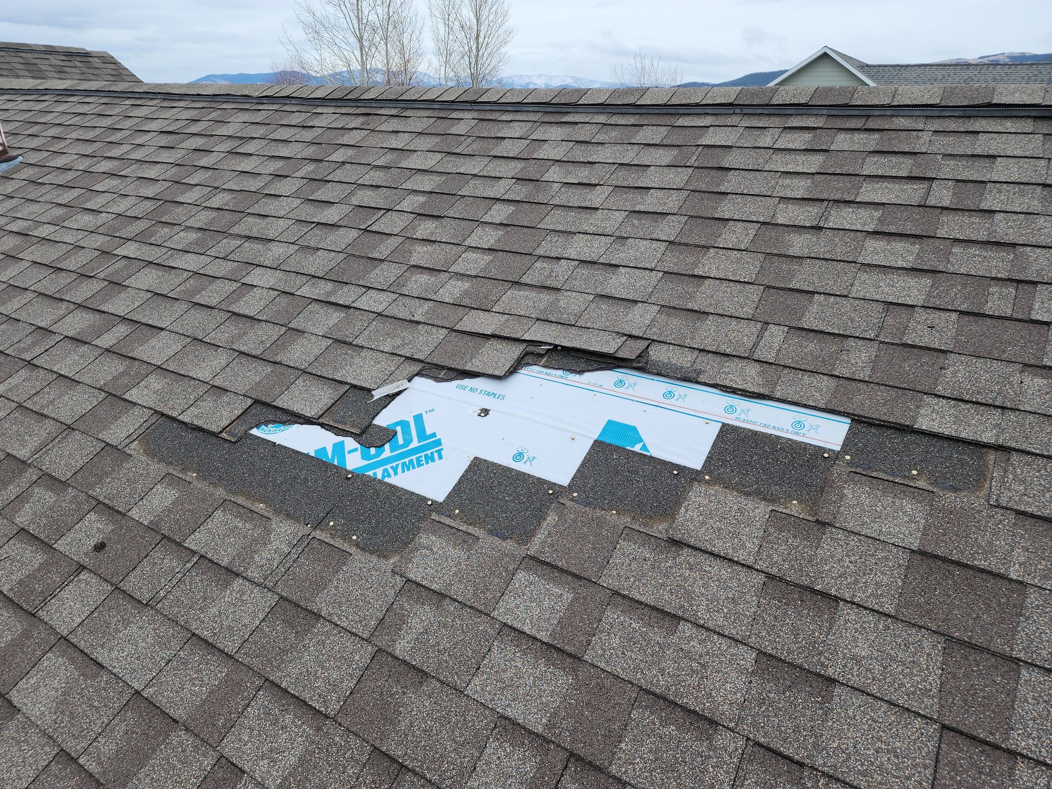 Roof Replacement