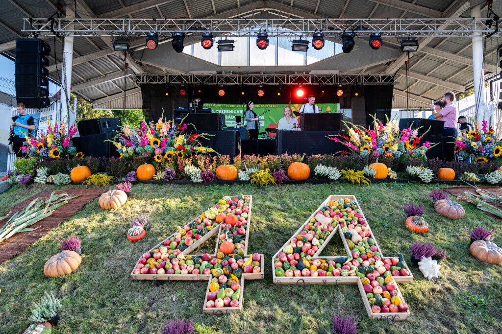 PoTrzebni Band — koncert plenerowy, festyn, oprawa muzyczna imprezy 1