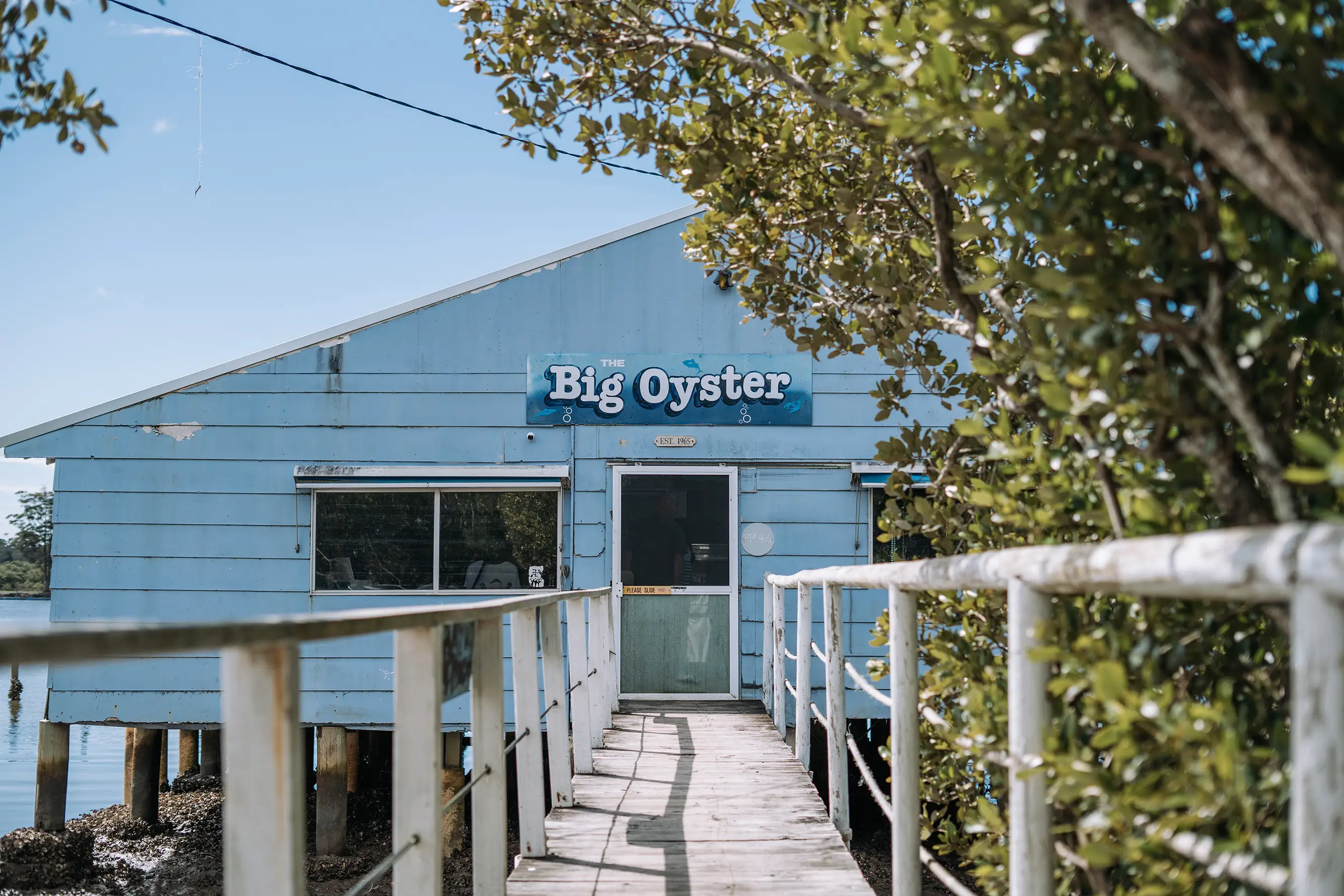 The Big Oyster on the Hastings River, Fernbank Creek NSW