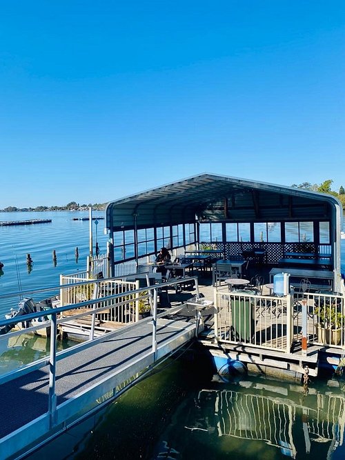 The Big Oyster on the Hastings River
