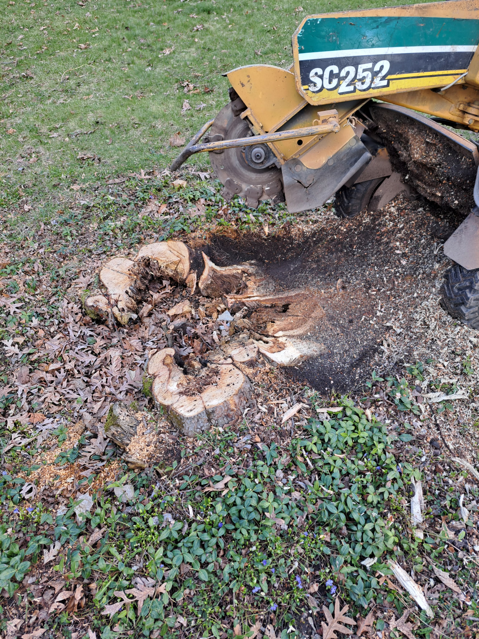 Stump Grinding