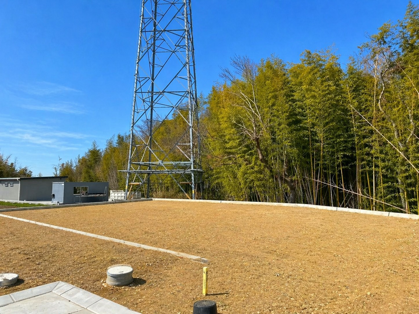 5号地 現地写真 2