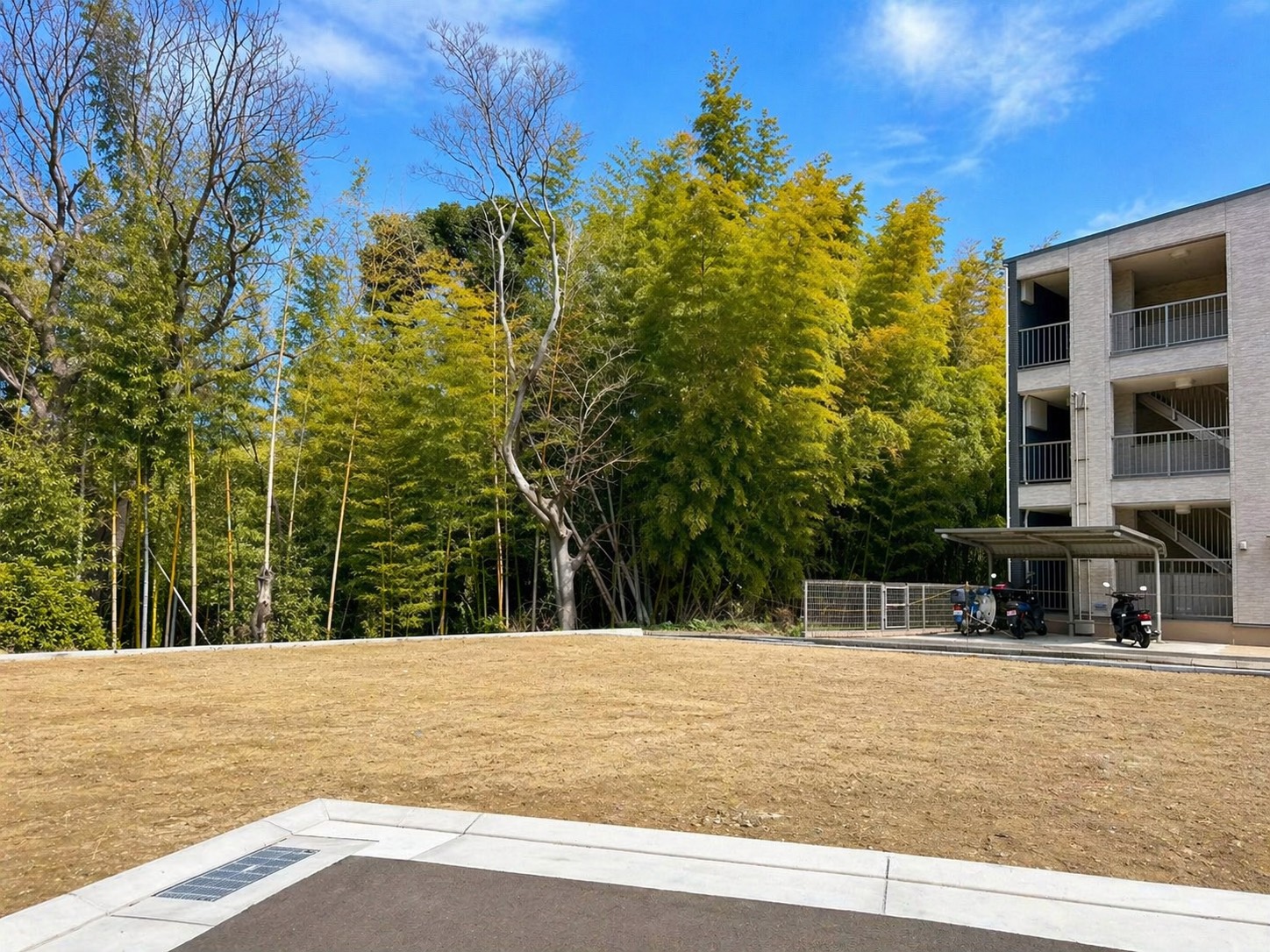 9号地 現地写真 1