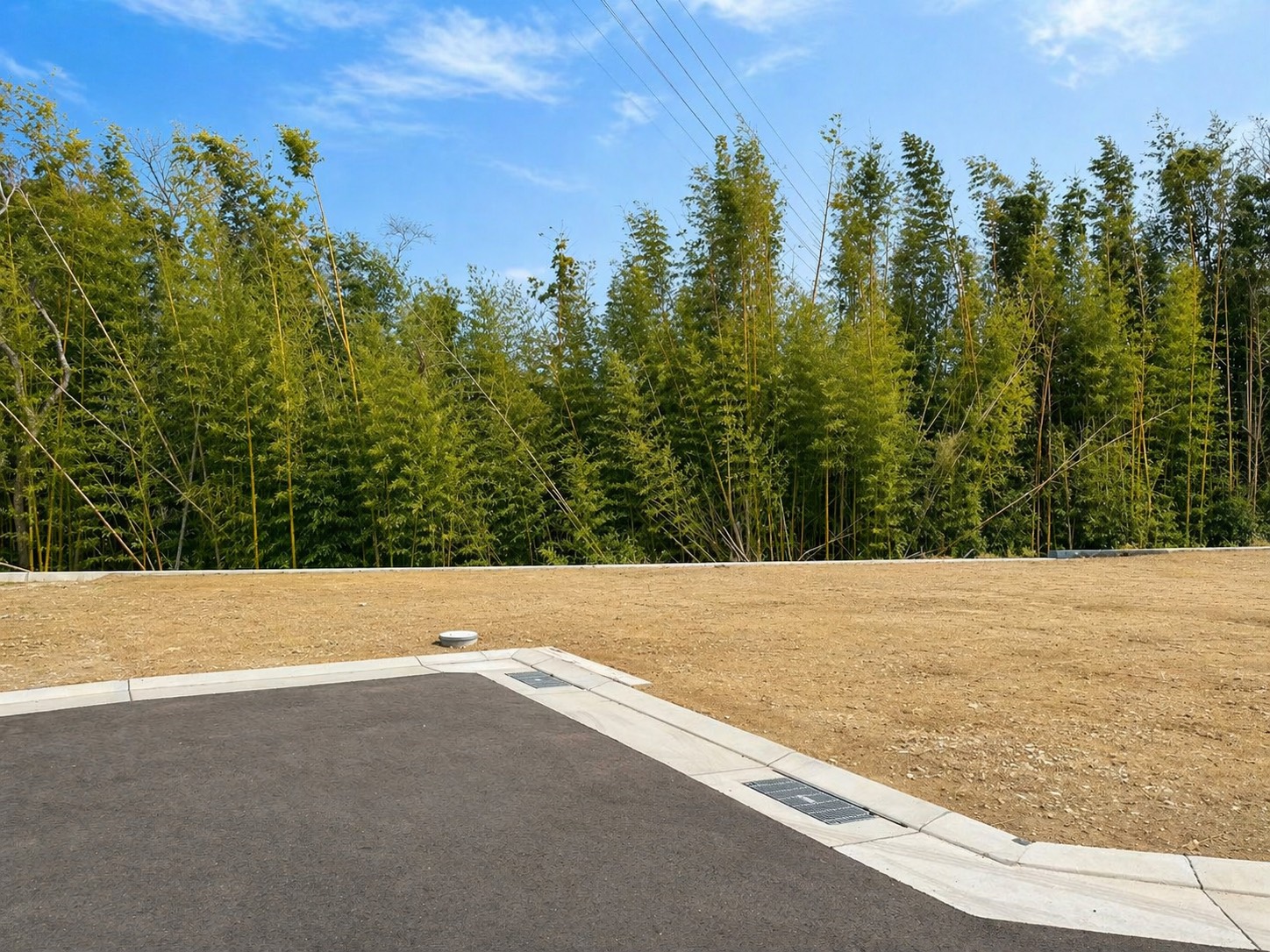 6号地 現地写真 2