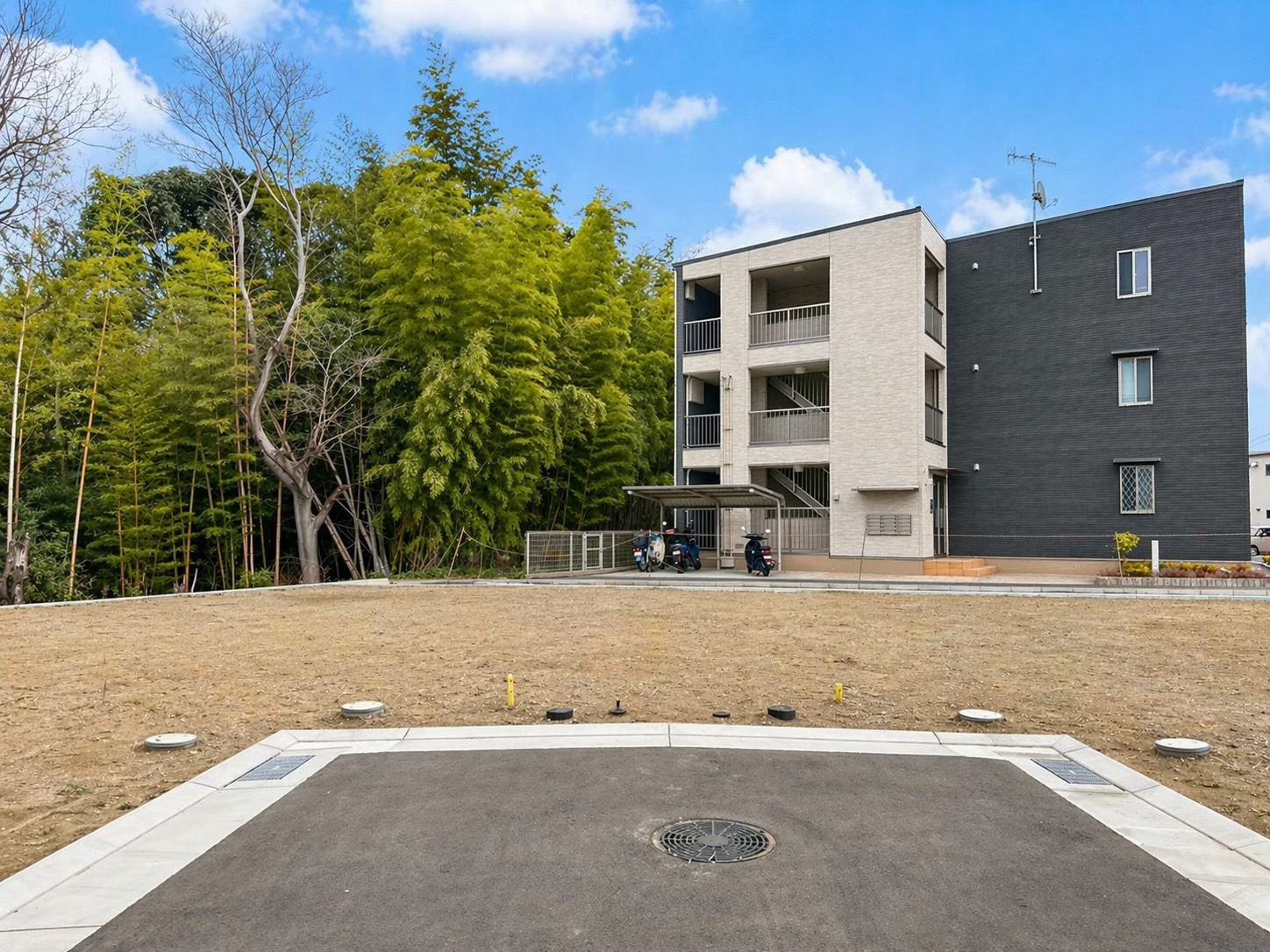 10号地 現地写真 2