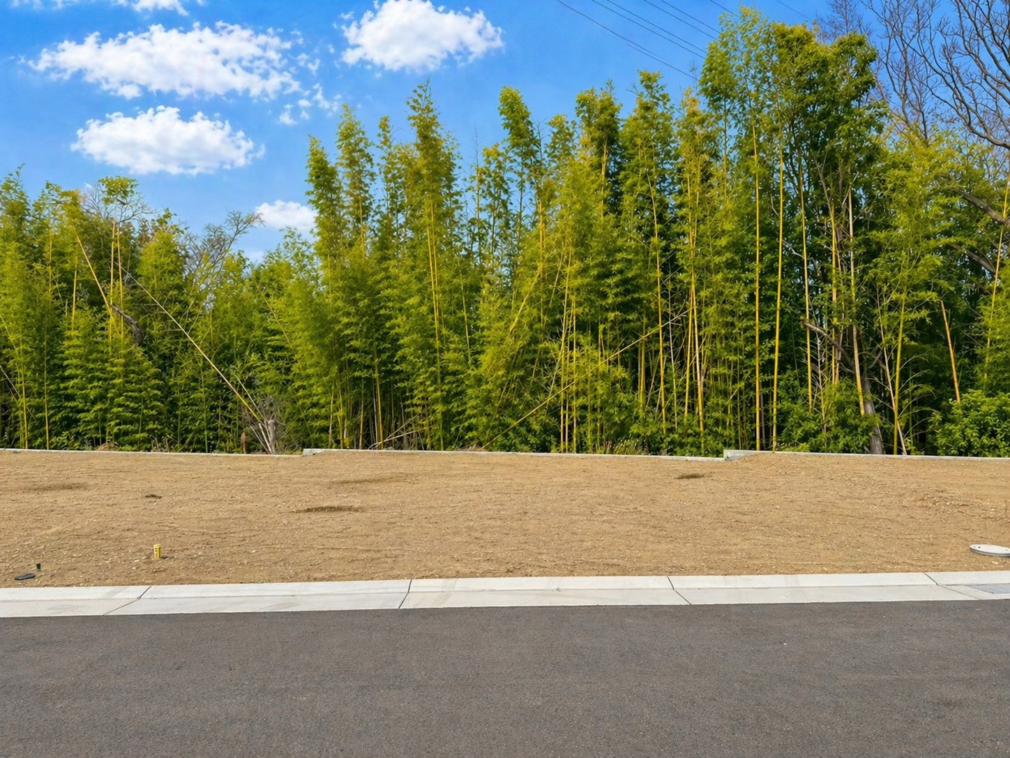 8号地 現地写真 1