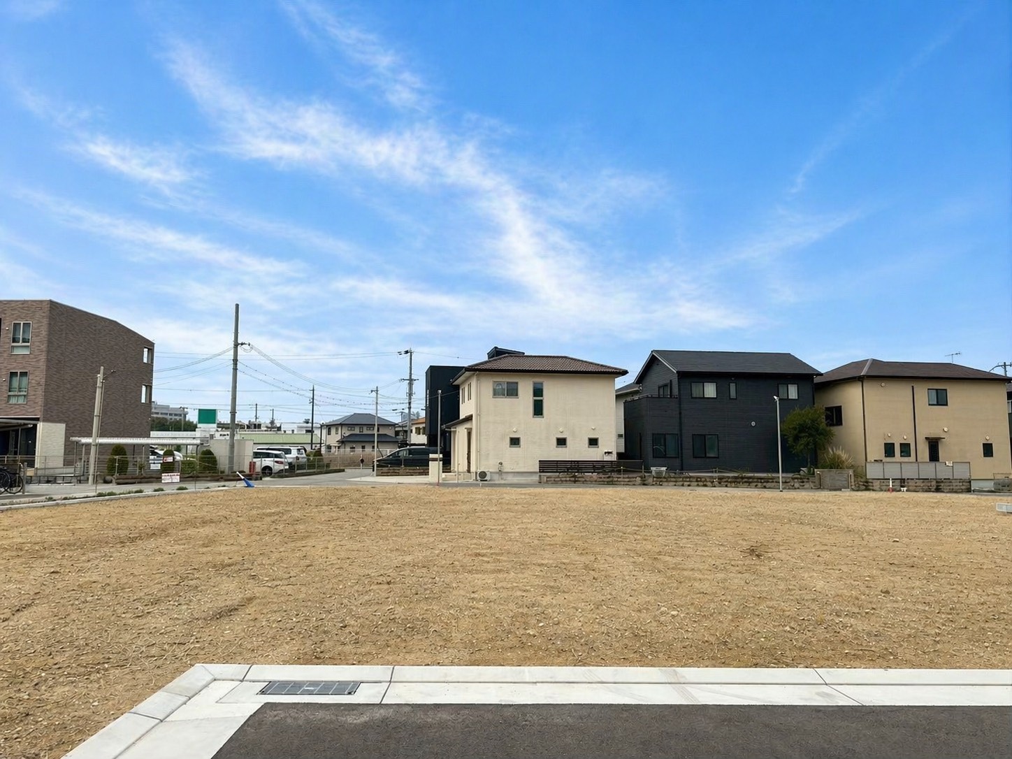 11号地 現地写真 2