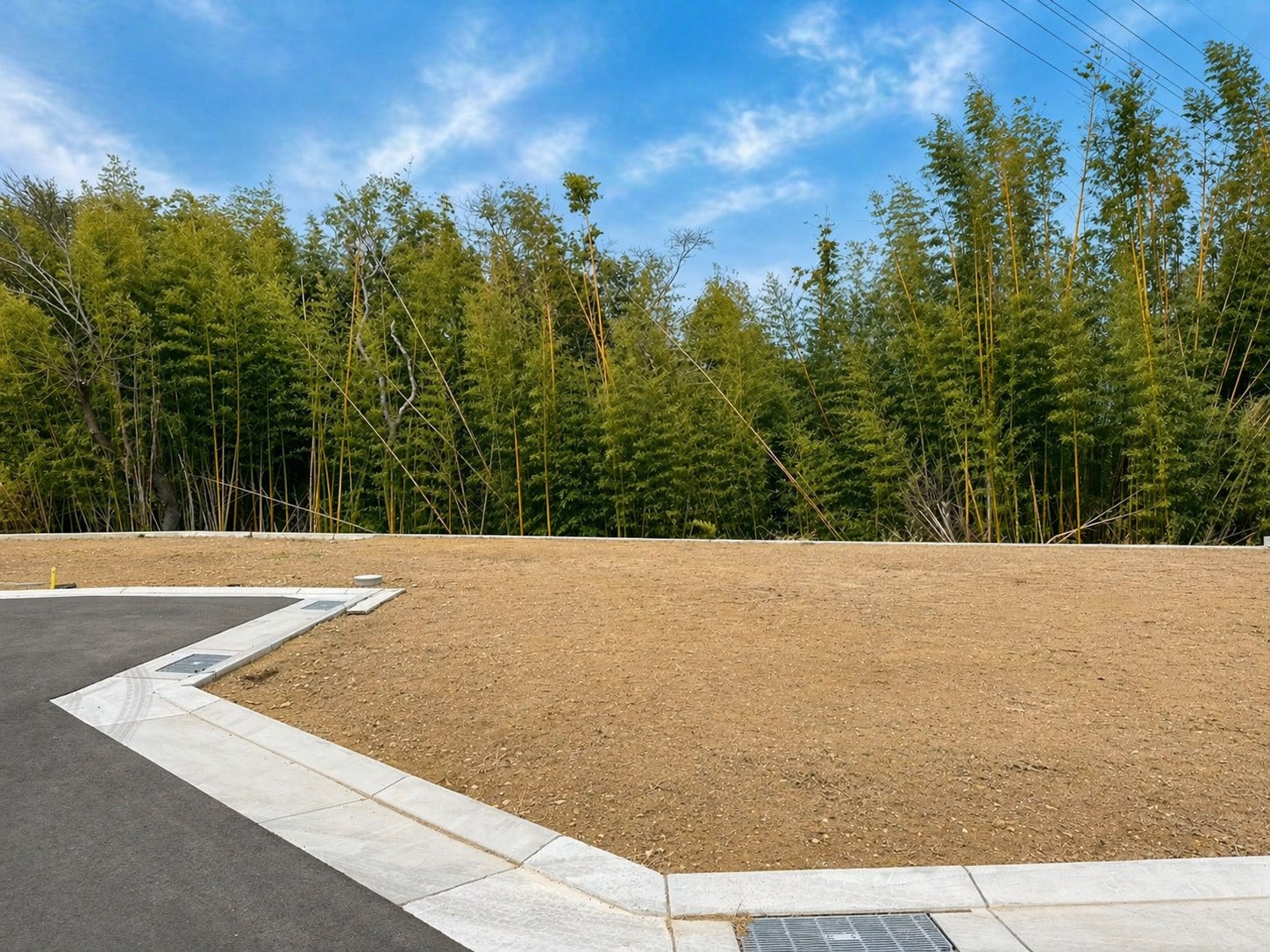 6号地 現地写真 3