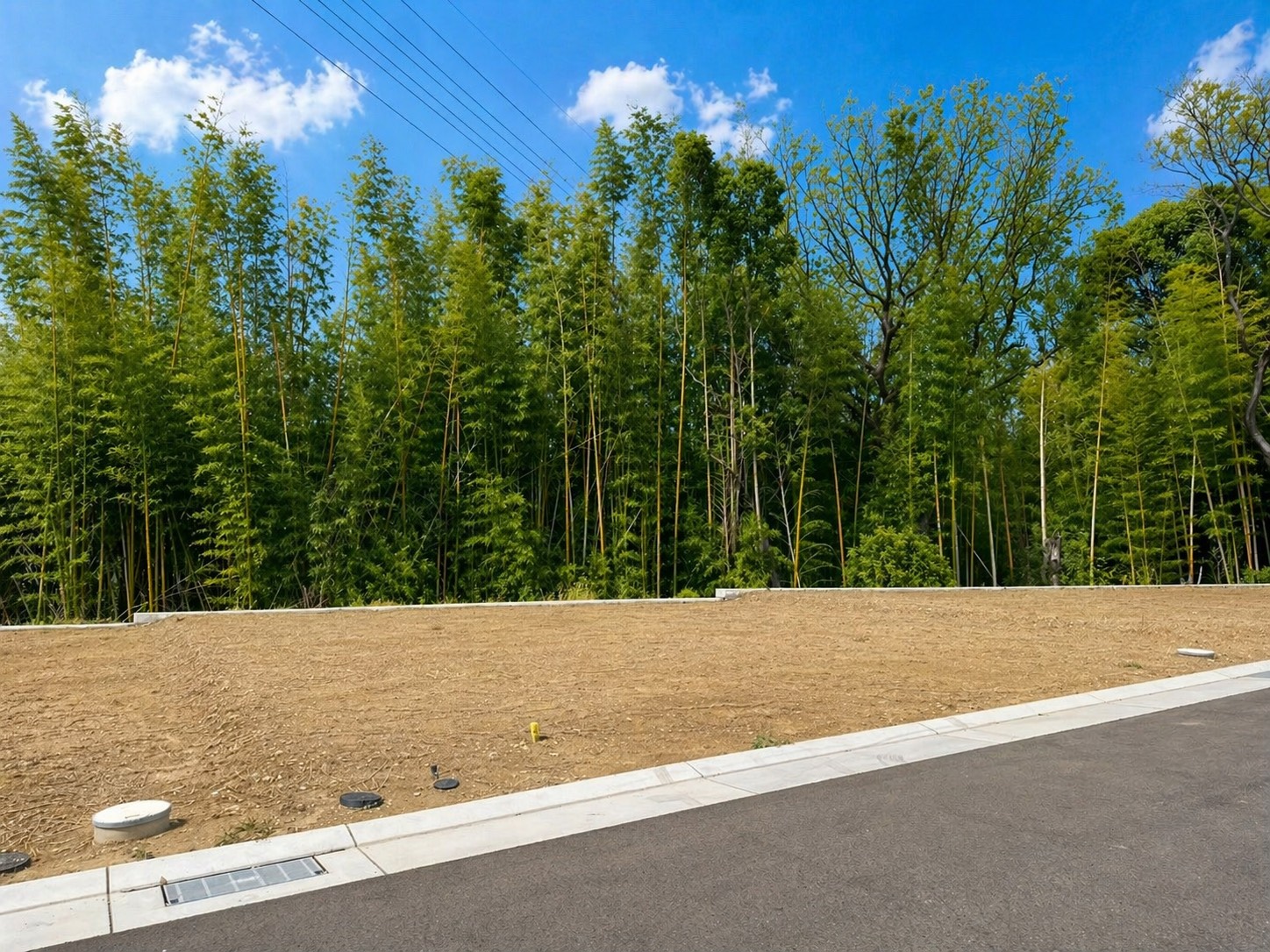 8号地 現地写真 2