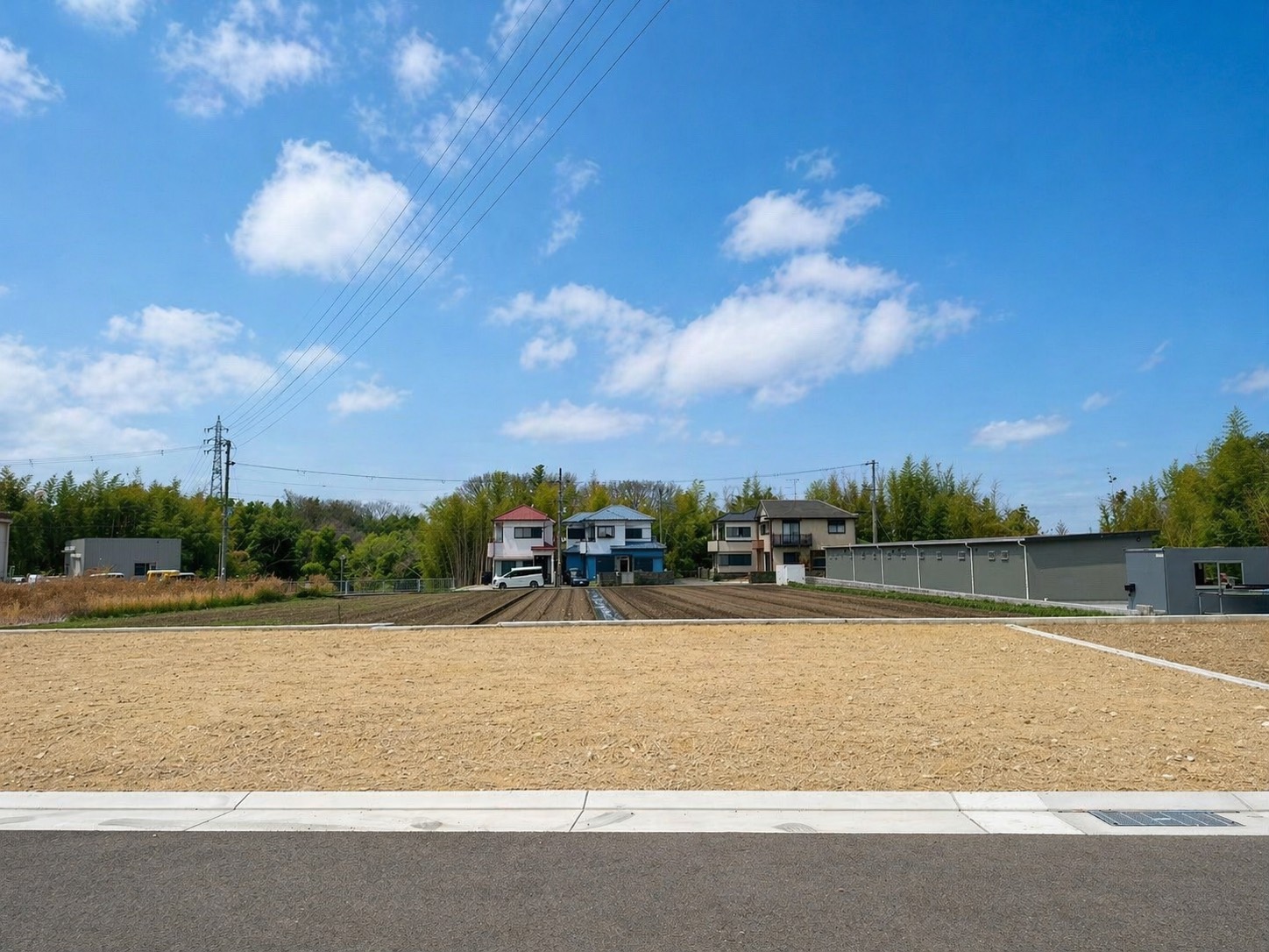 4号地 現地写真 2