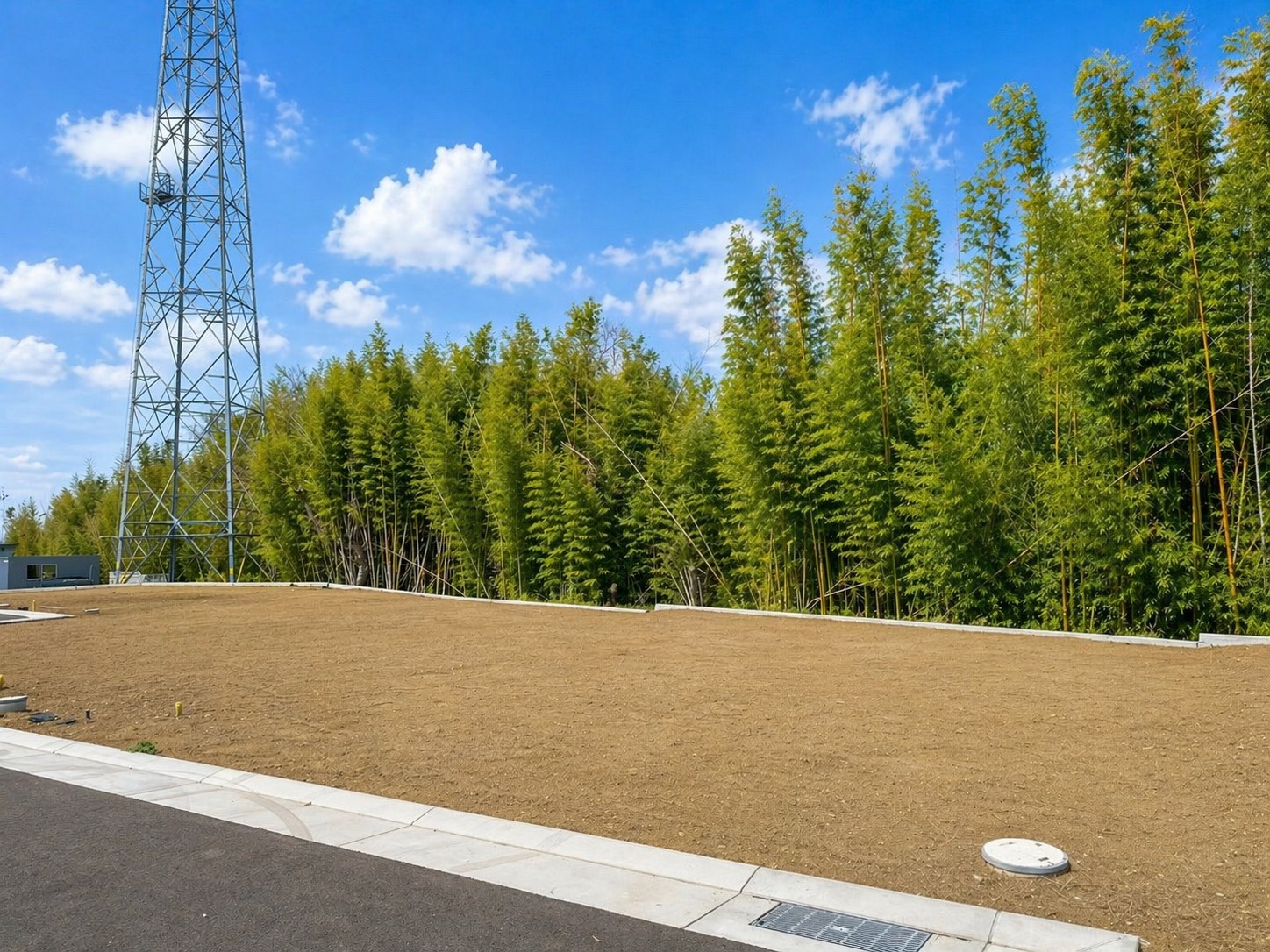 8号地 現地写真 4