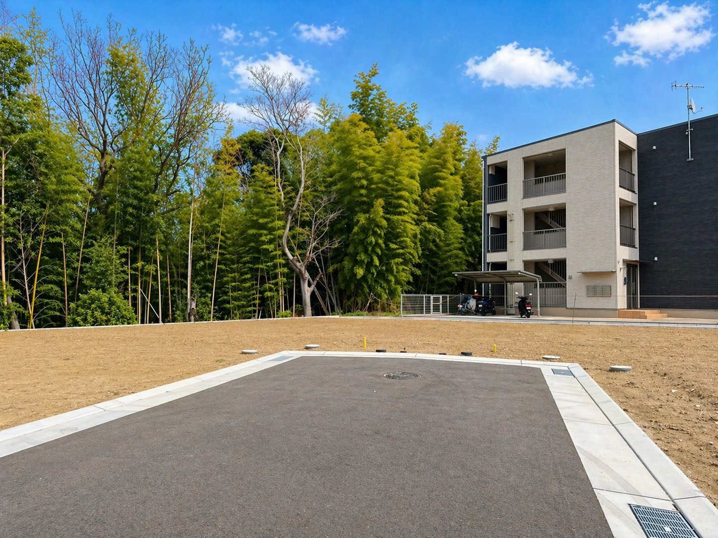 8号地 現地写真 3