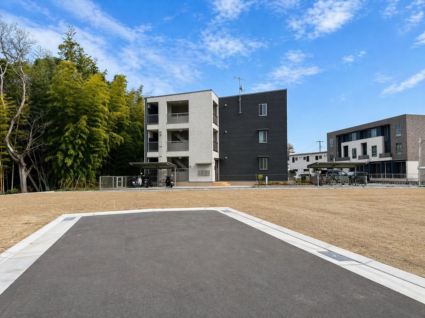 11号地 現地写真 3