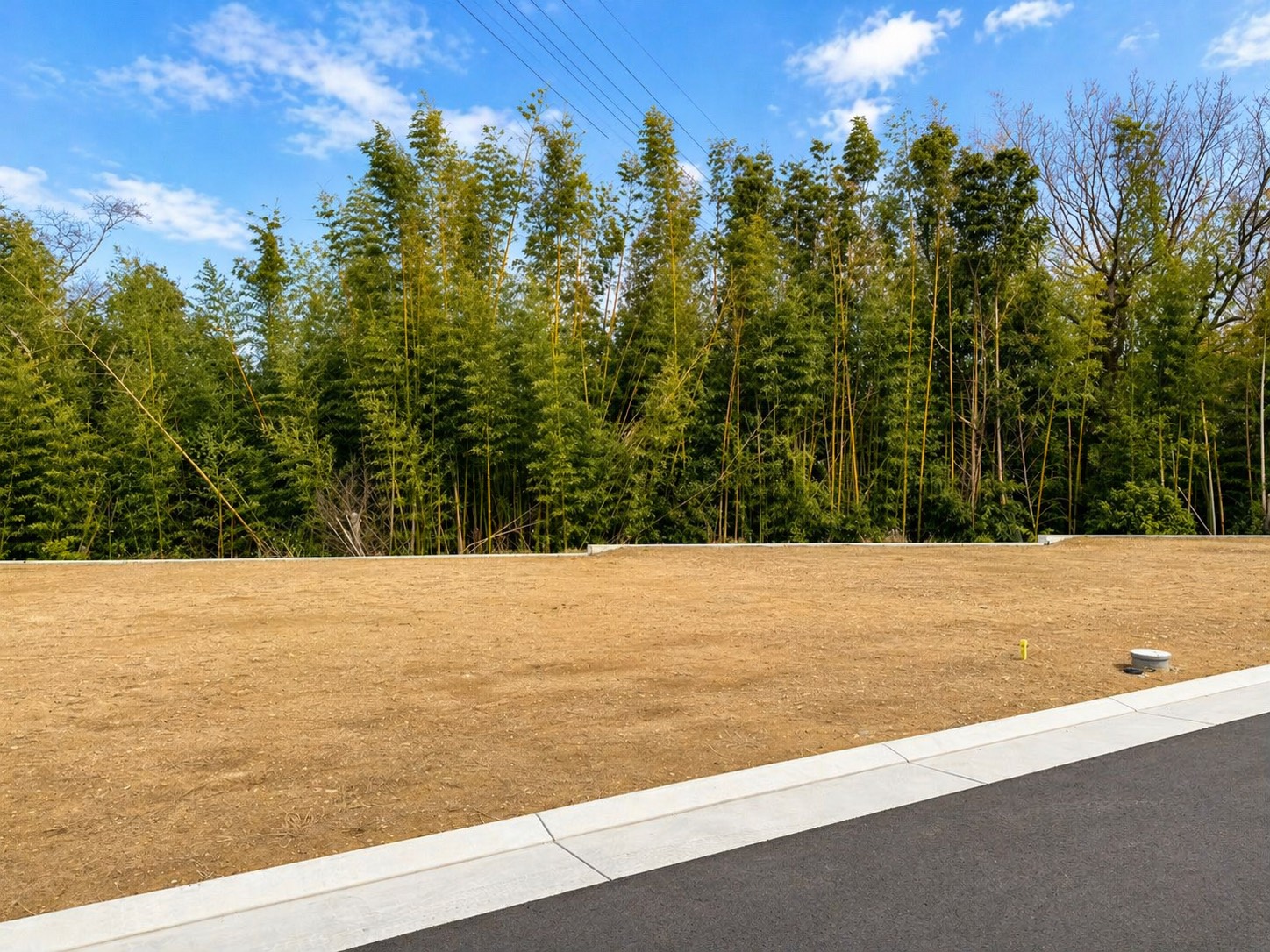 7号地 現地写真 2