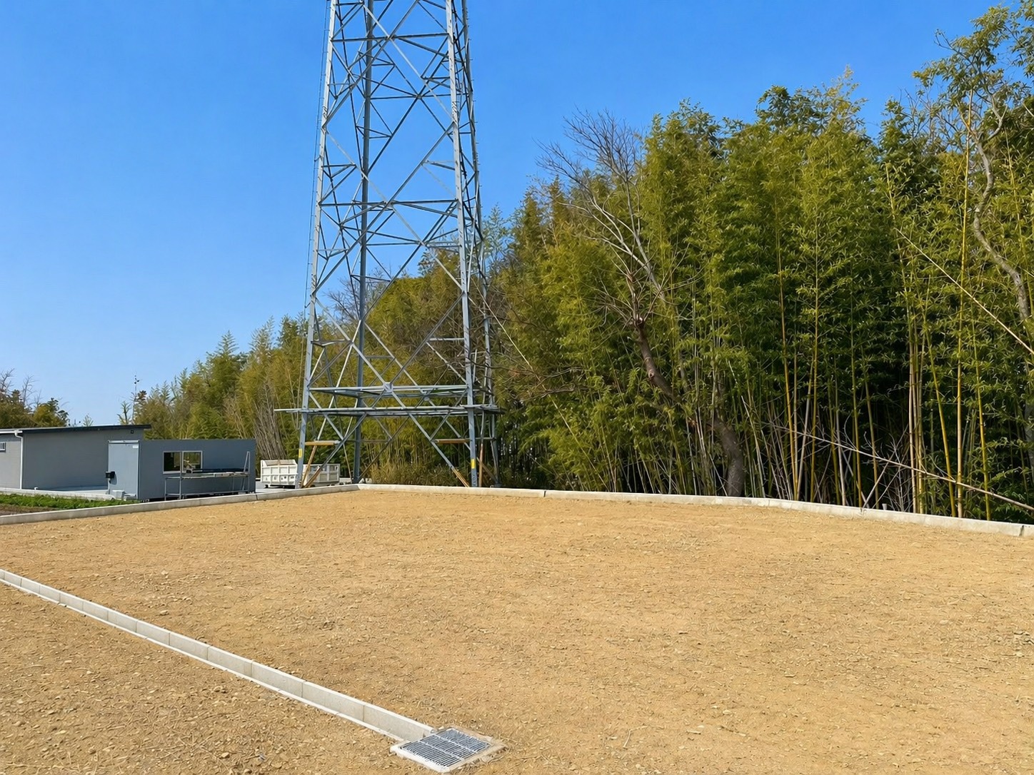 5号地 現地写真 3