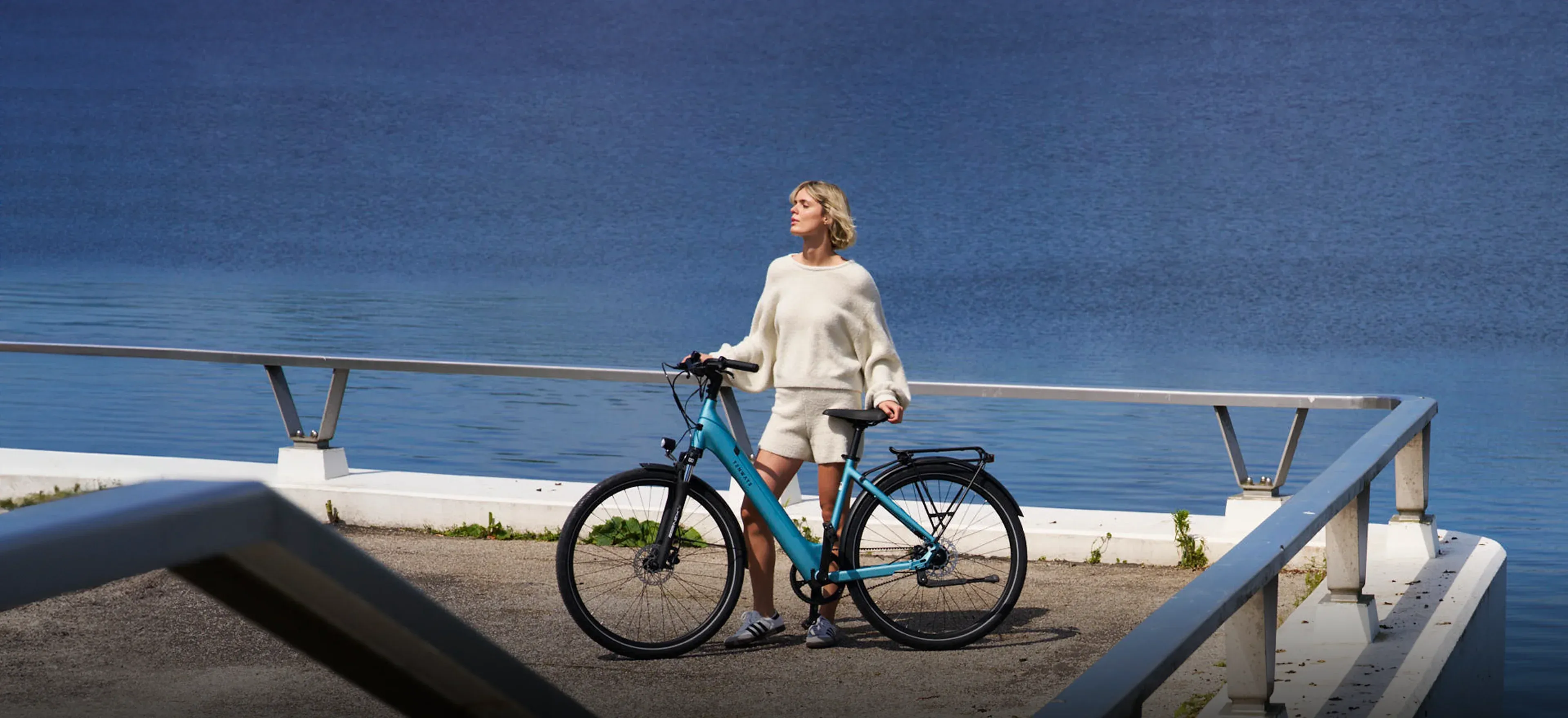 Tenways CGO800S Award