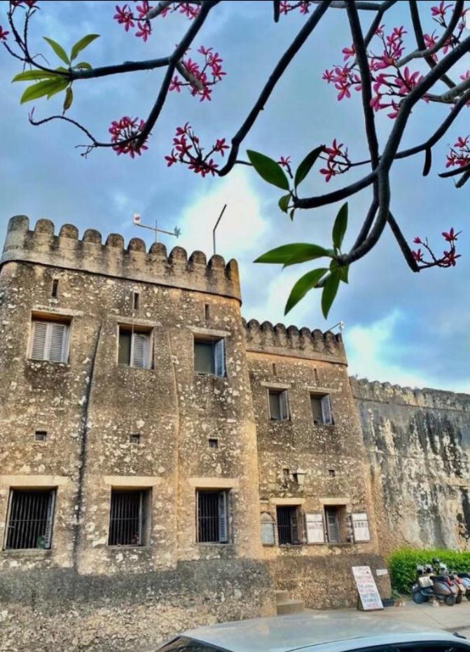 Zanzibar aerial view