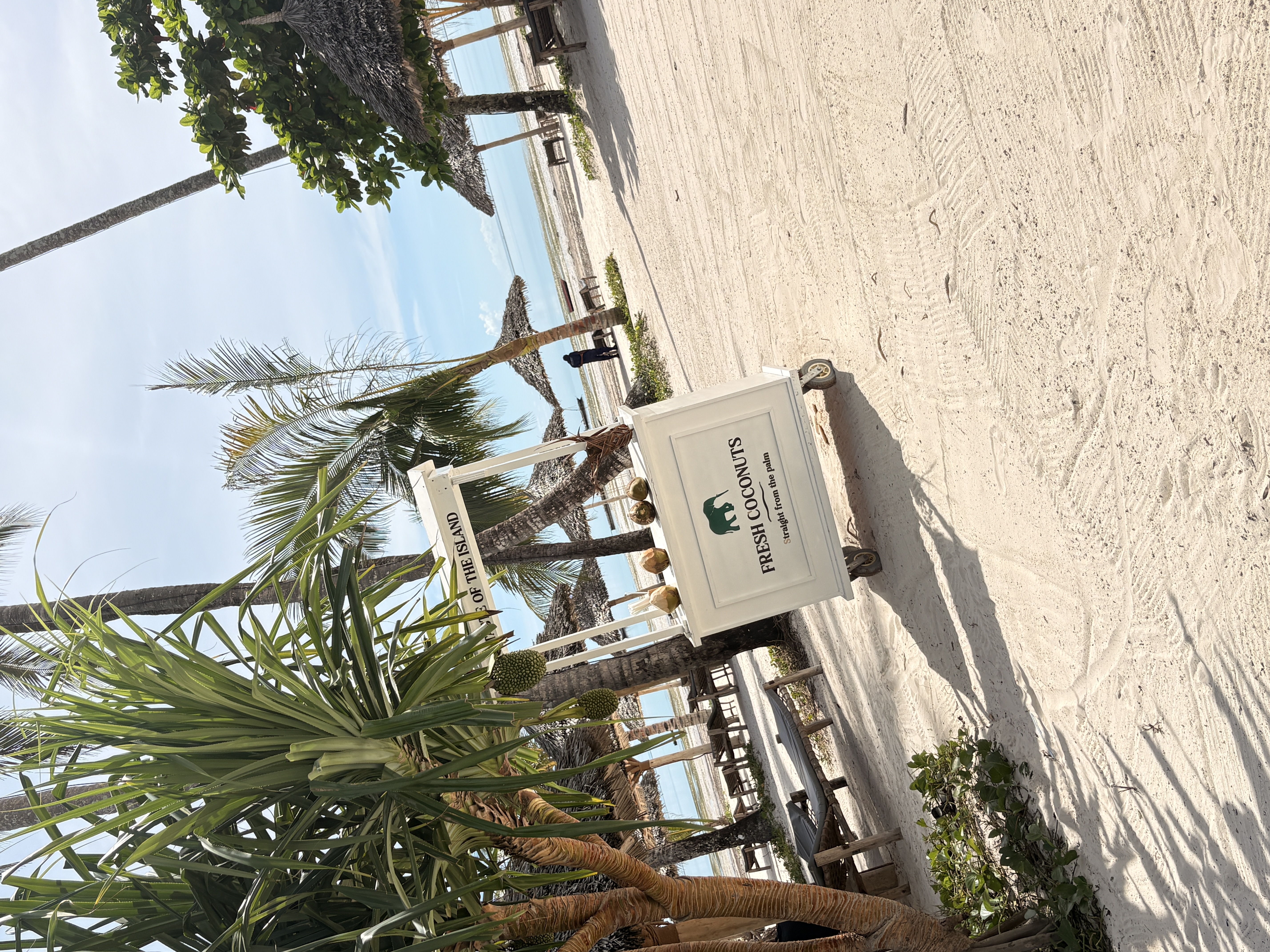 Zanzibar Captured Moment