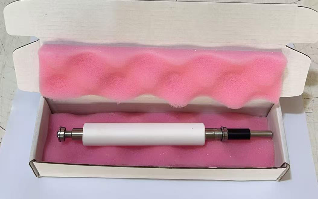 Zebra Platen Roller GK420