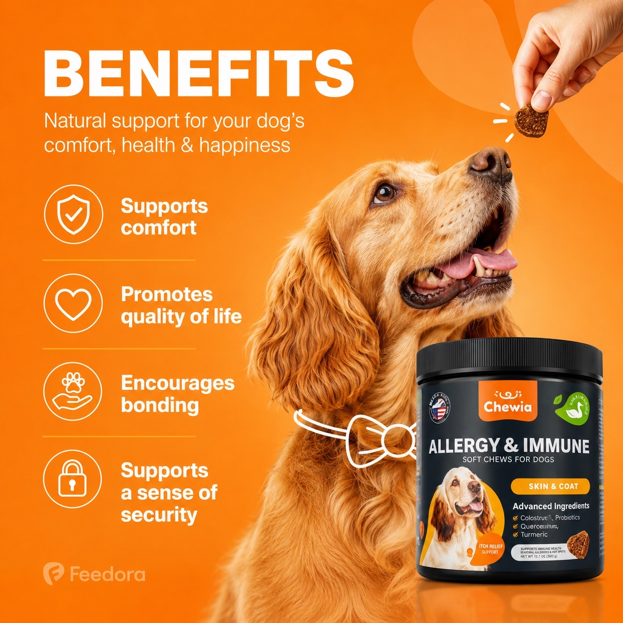 Dog Allergy Relief Chews thumbnail 2