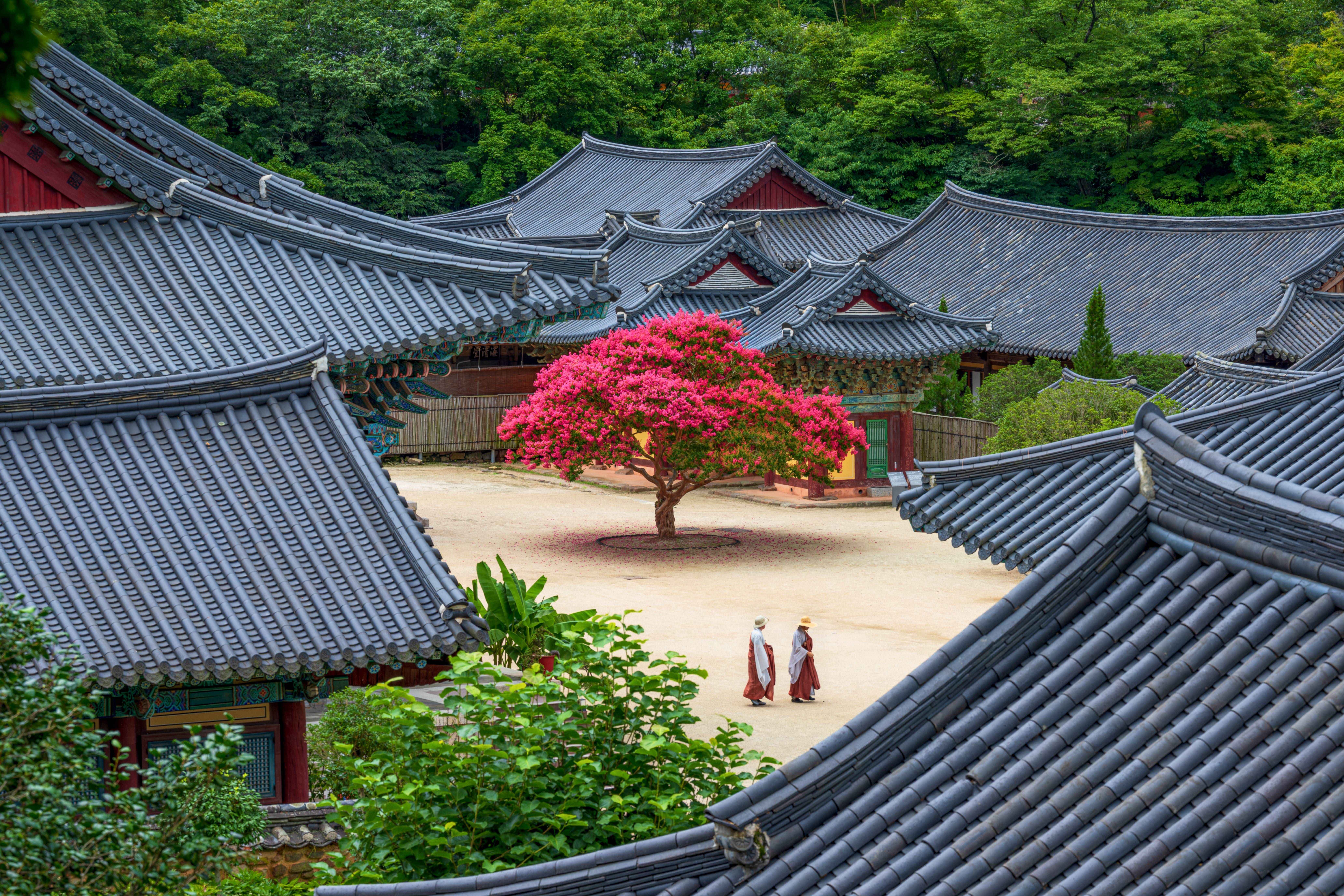 Temple Stay